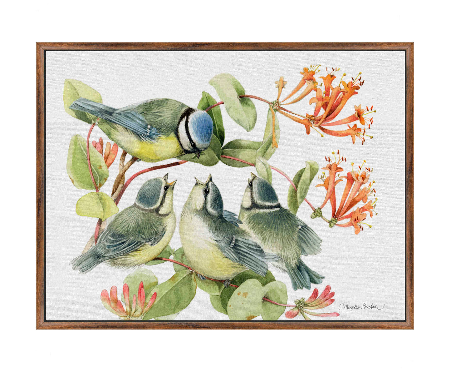 Always Hungry - Blue Tit - Gallery Wrapped Canvas