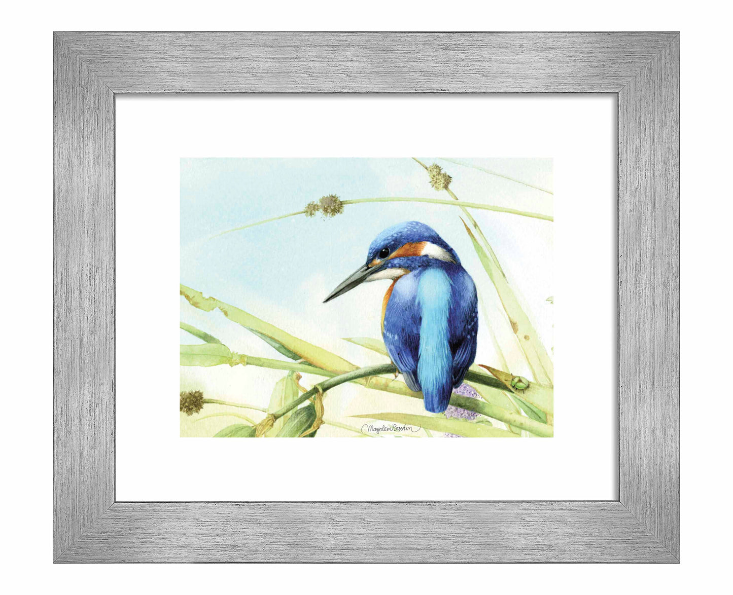 Keeping an Eye Out - Art Prints