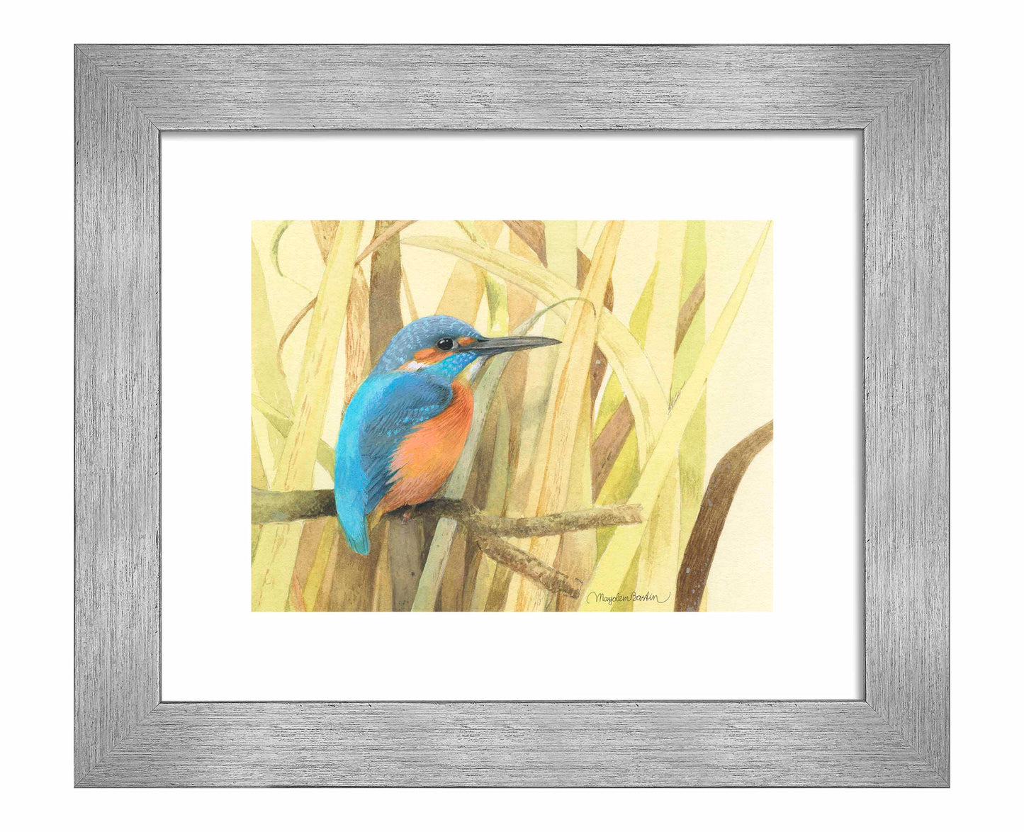 Hiding in the Reeds - Art Prints