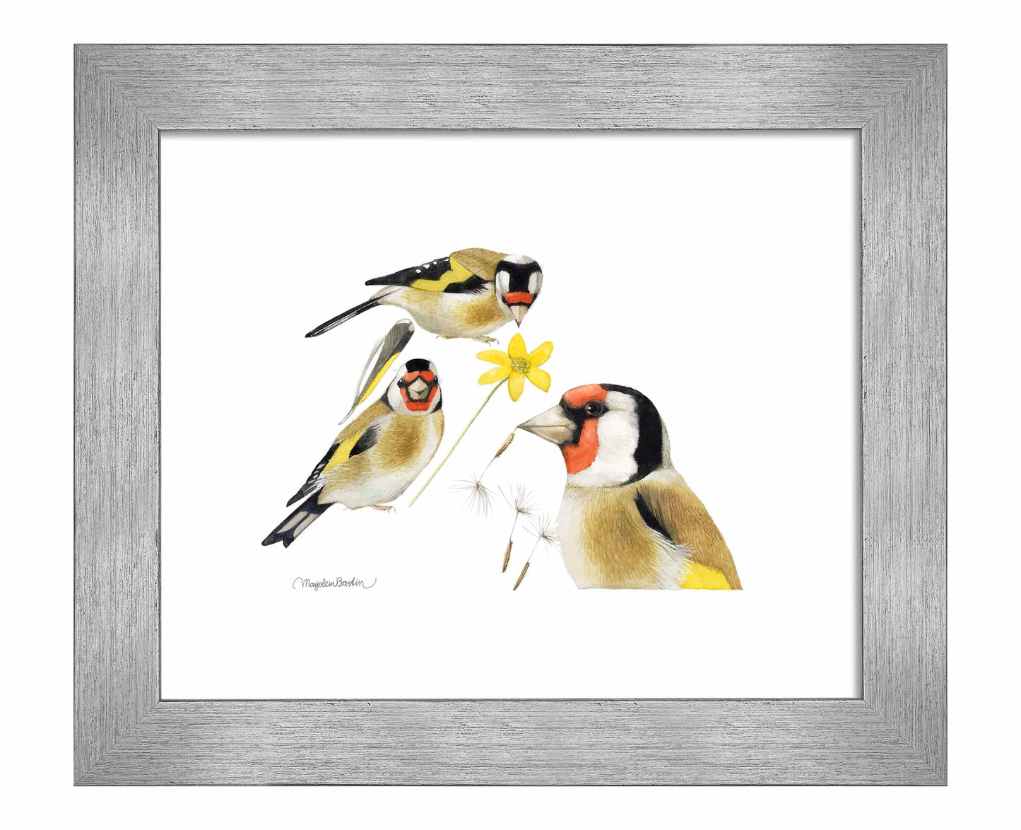 True Colors - Art Prints