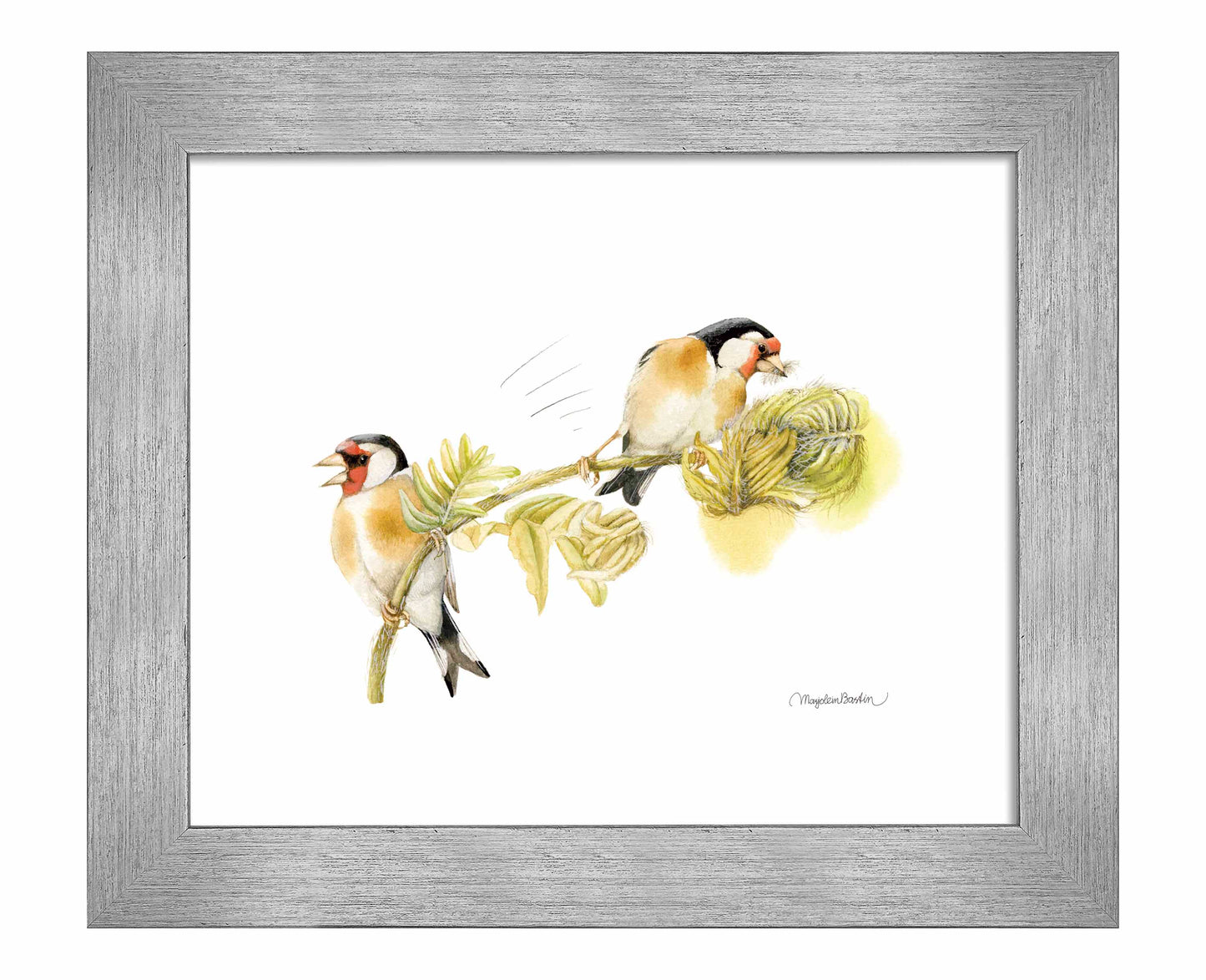 Goldfinches on Fern - Art Prints