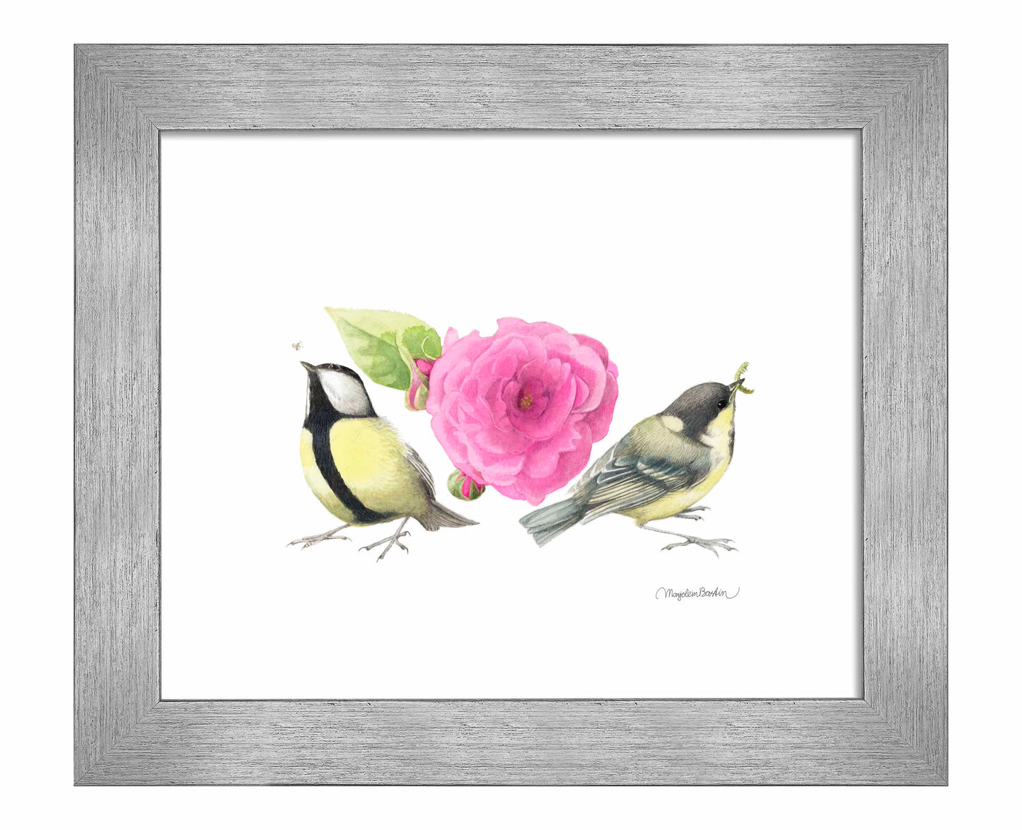 Zepherin Drouhin Rose - Art Prints