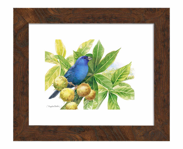 Brilliant Blue - Art Prints