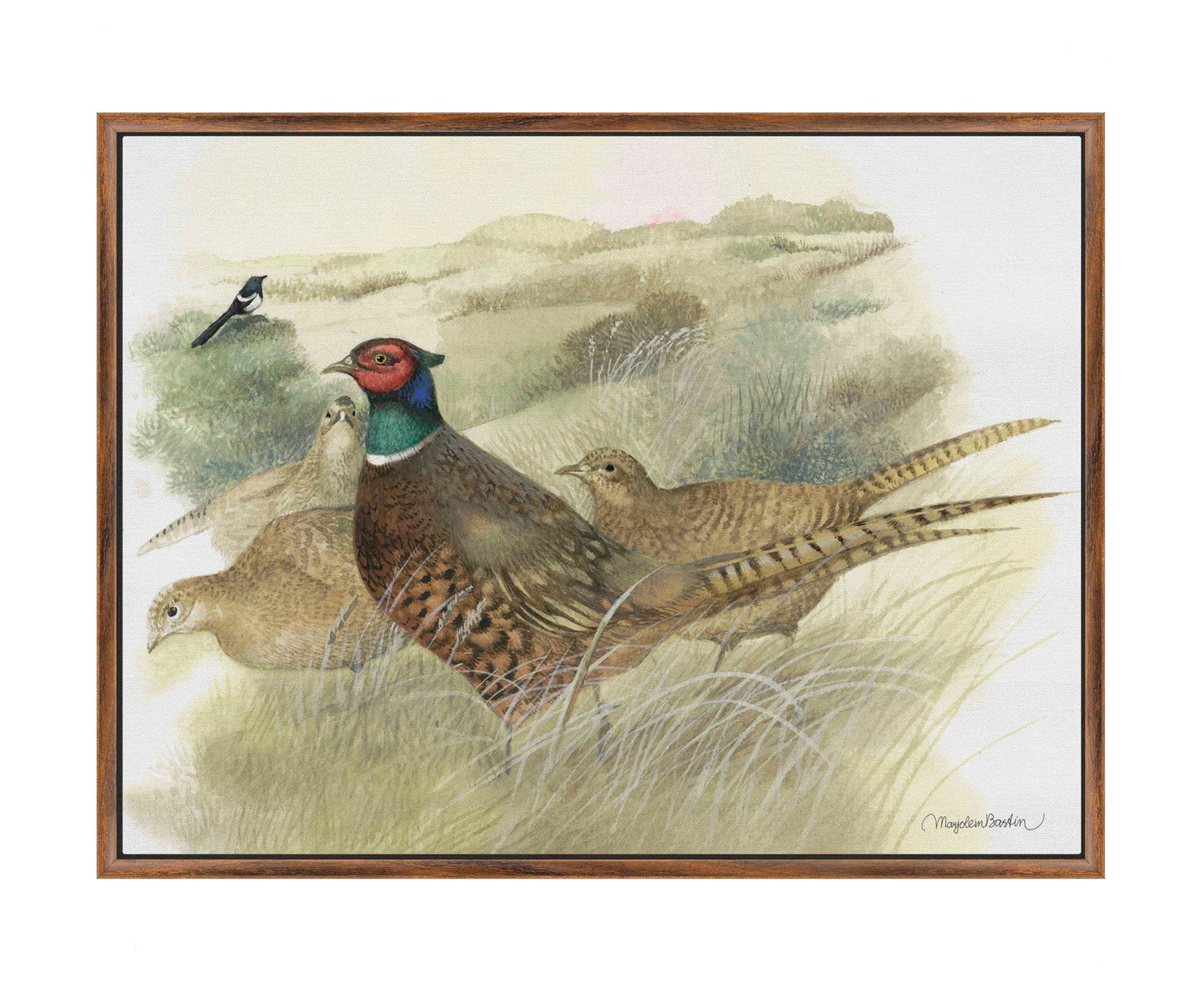Pheasants on Ameland - Gallery Wrapped Canvas