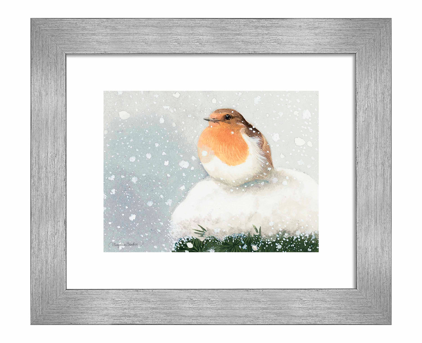 European Robin - Art Prints