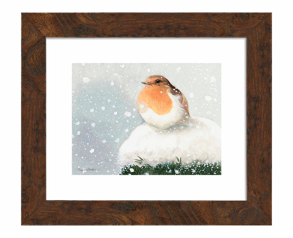 European Robin - Art Prints