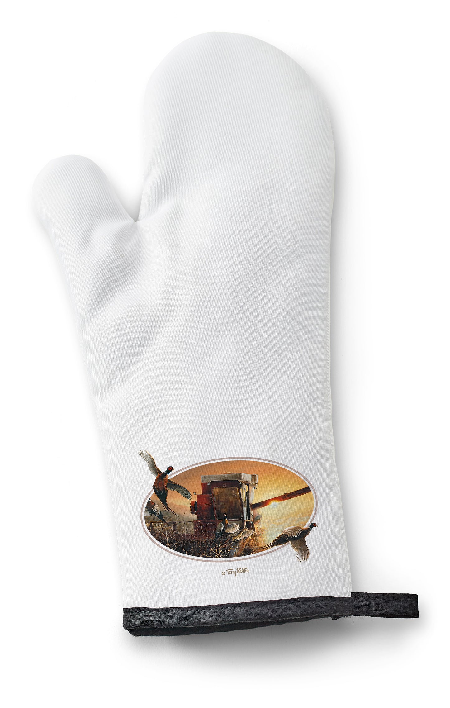 Evening Surprise - Oven Mitt