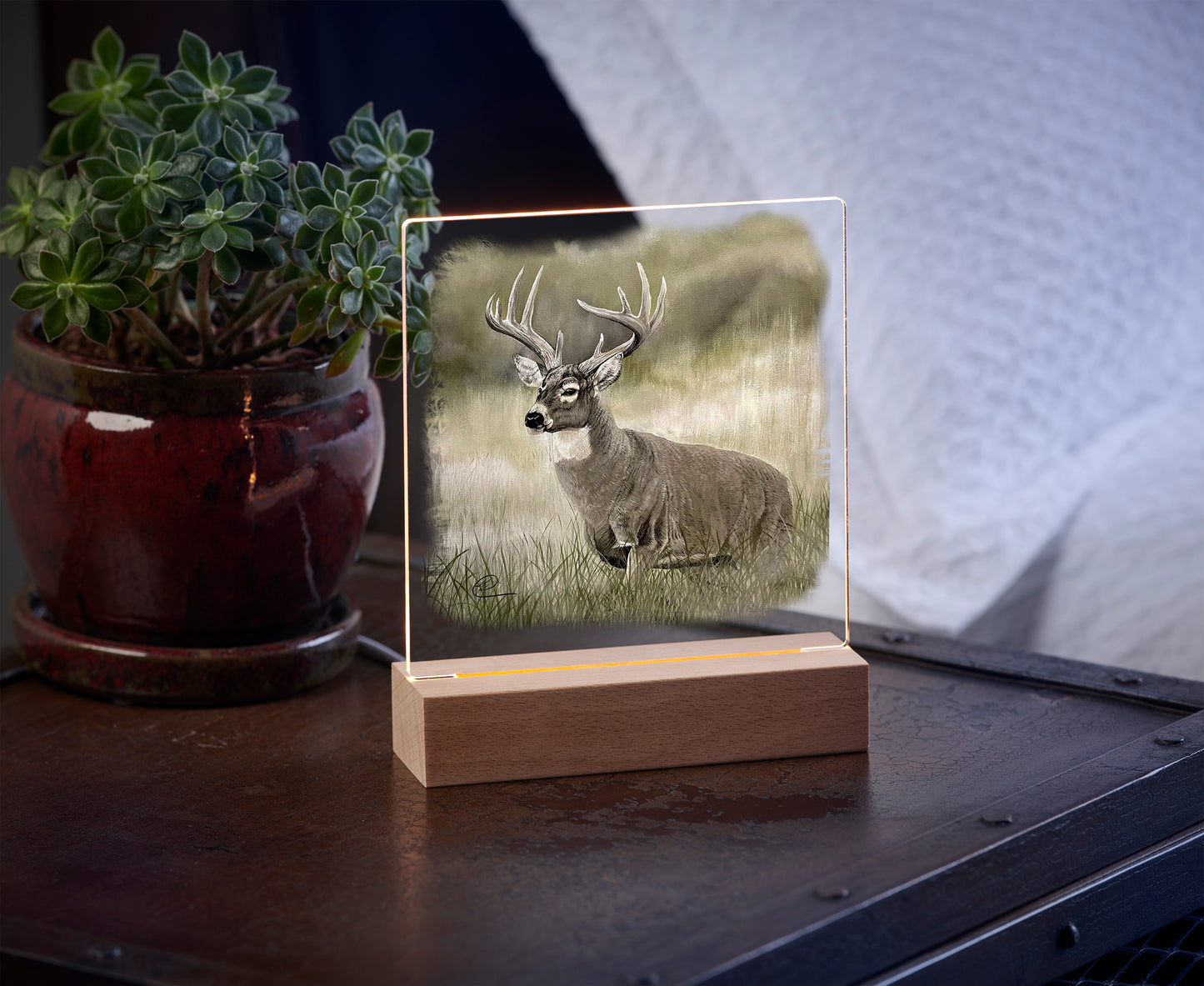 Olive Whitetail Deer - Acrylic Night Light