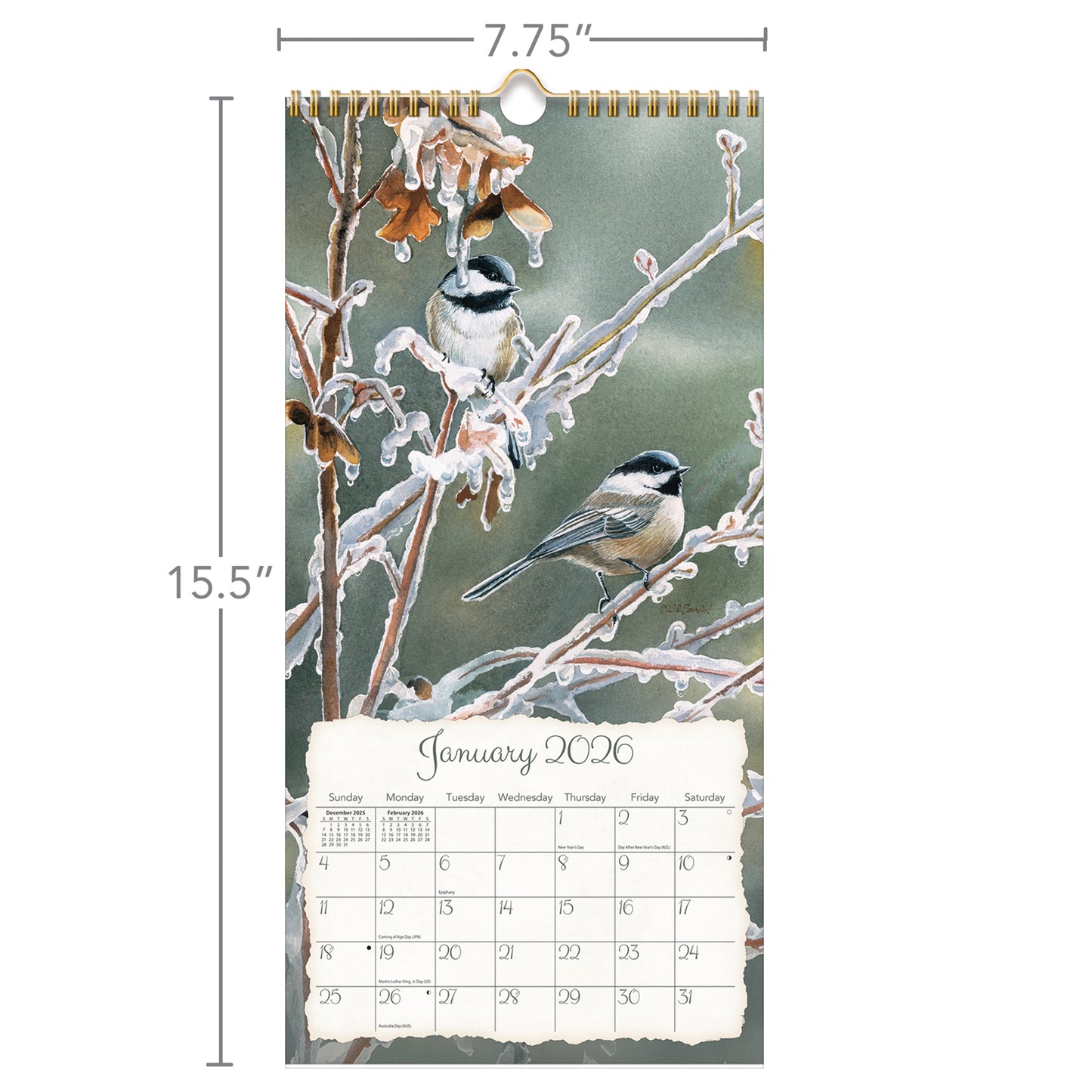Songbirds™ - 2026 Vertical Wall Calendar