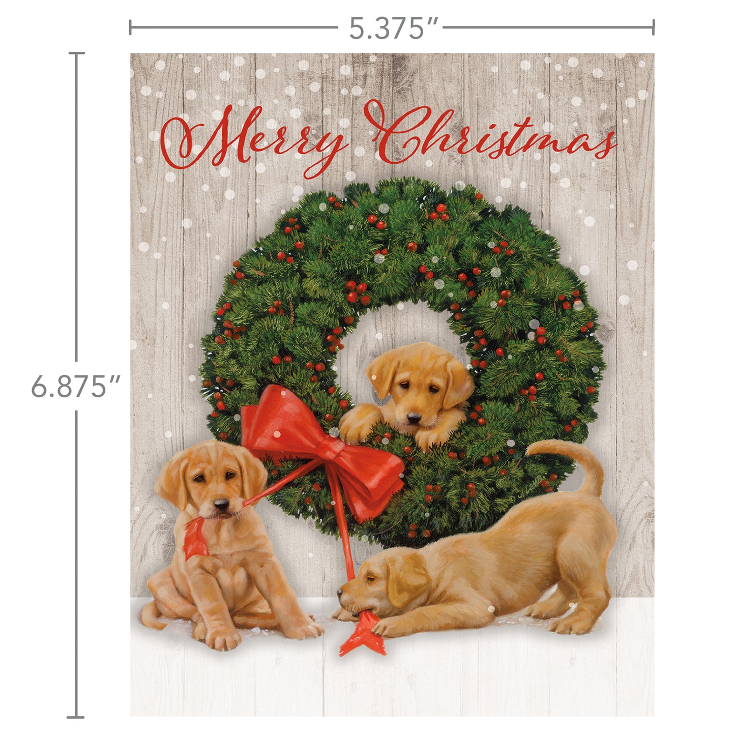 Wonder and Joy - Boxed Christmas Cards