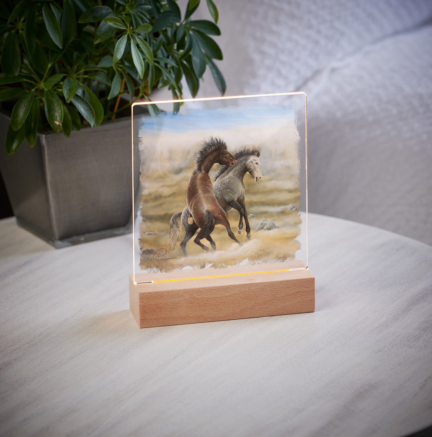 Dusty Tussel - Acrylic Night Light