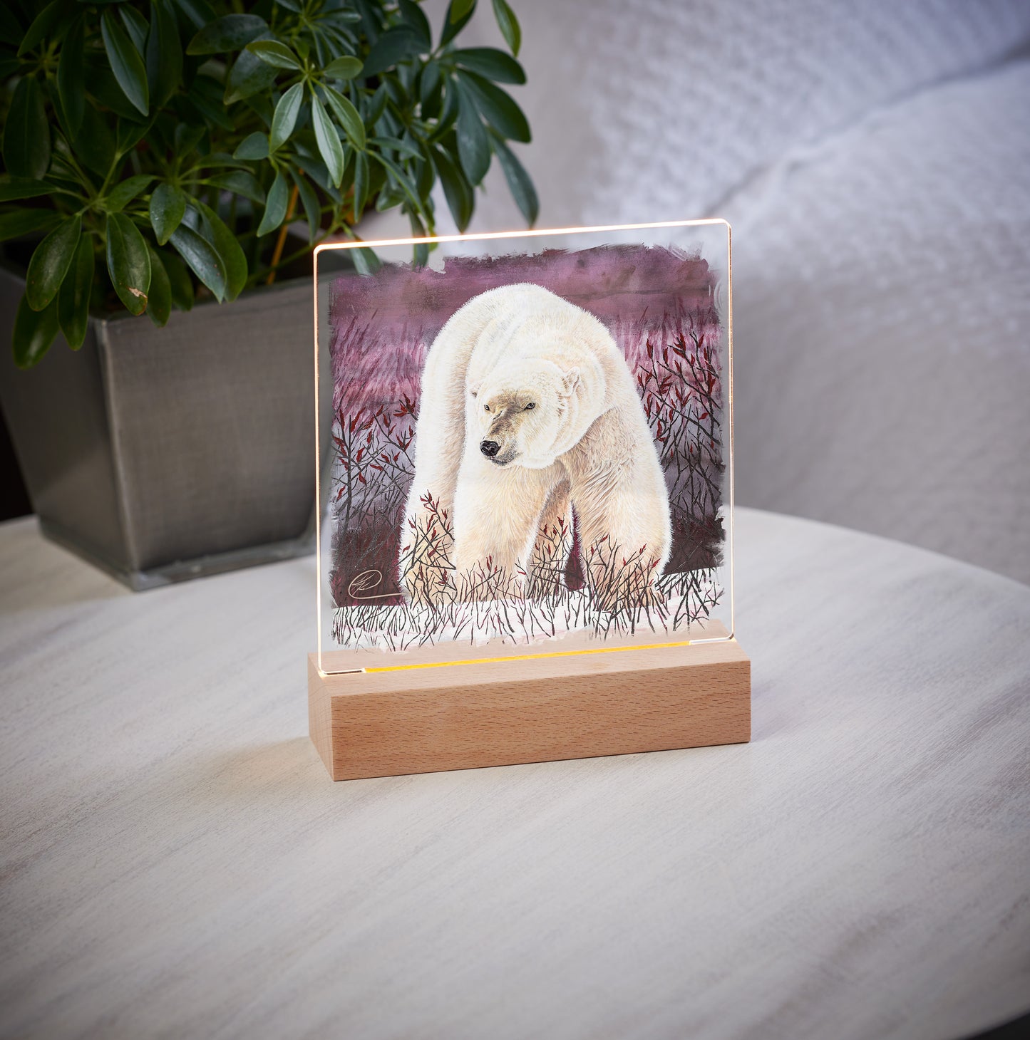 Purple Polar - Acrylic Night Light