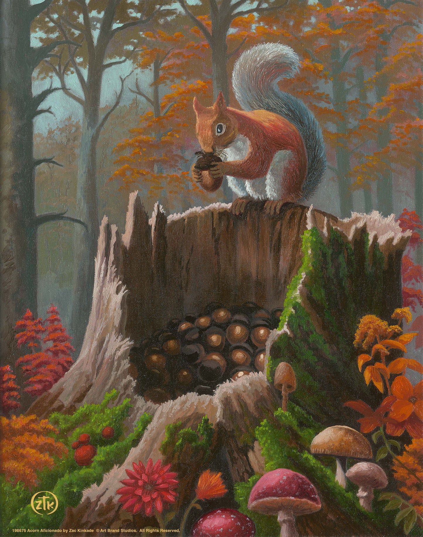 Acorn Aficionado - Art Prints