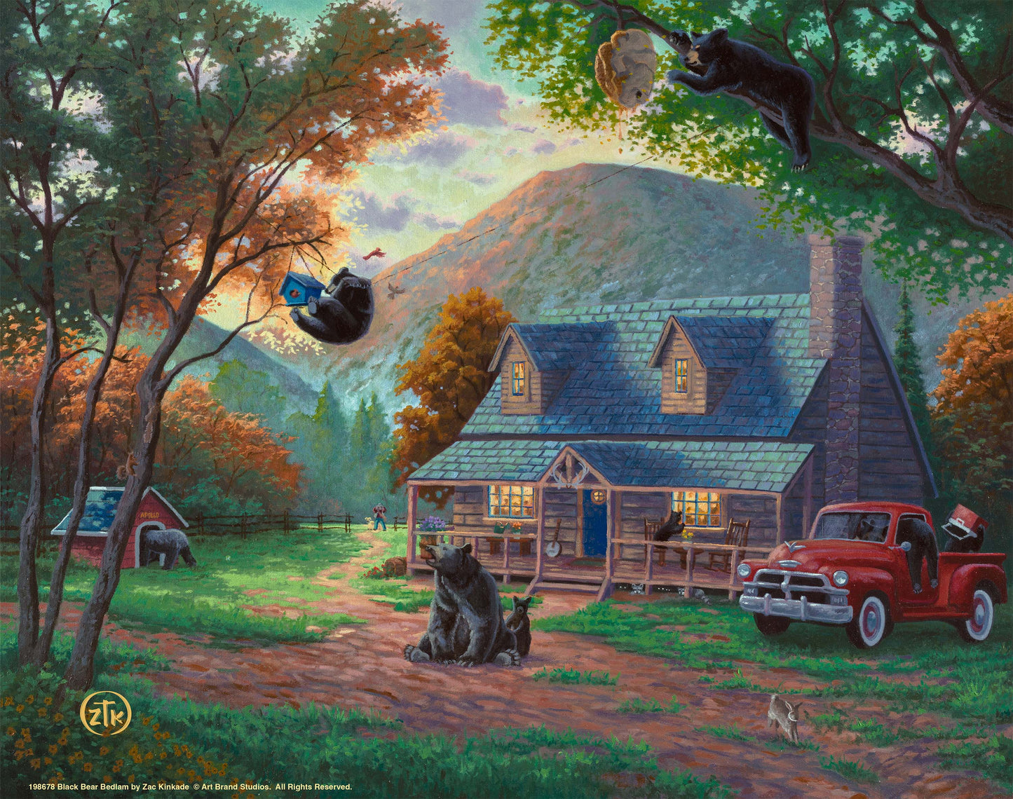 Black Bear Bedlam - Art Prints