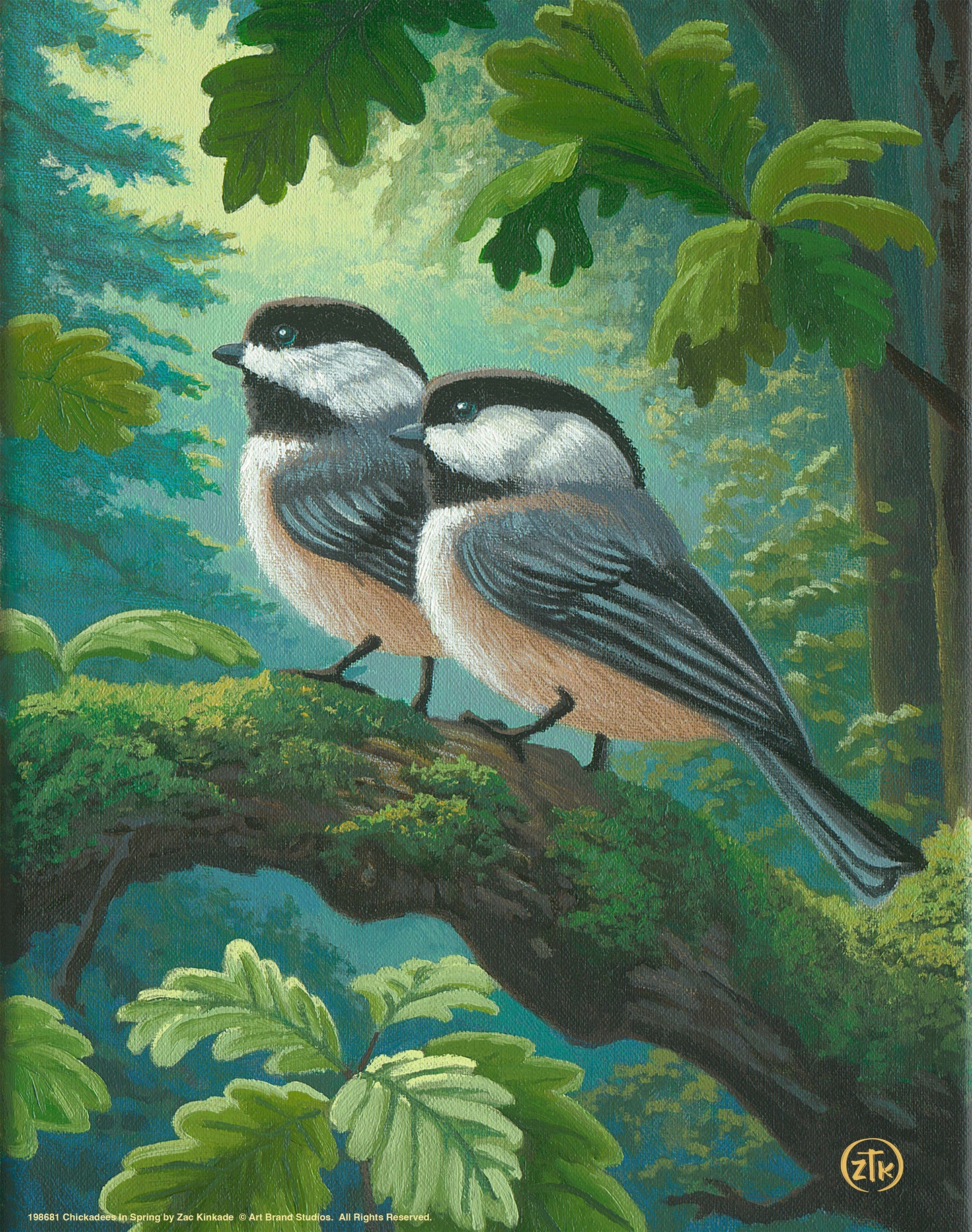 Chickadees In Spring - Art Prints