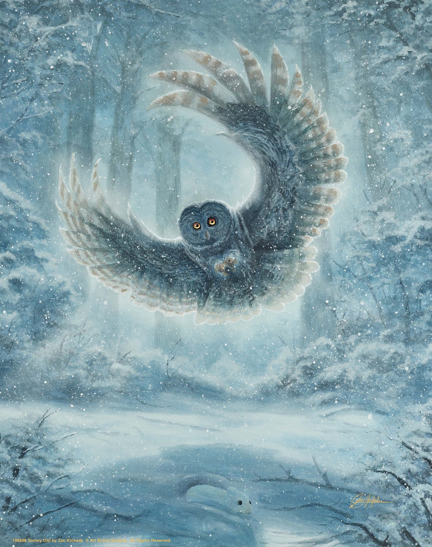 Snowy Owl - Art Prints