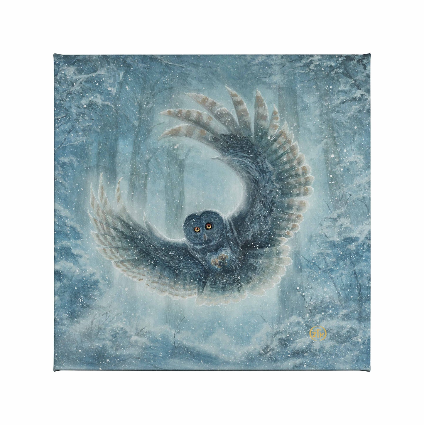 Snowy Owl - 14" x 14" Gallery Wrapped Canvas