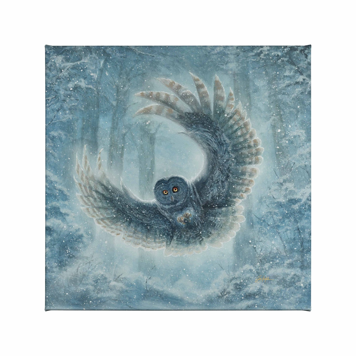 Snowy Owl - 14" x 14" Gallery Wrapped Canvas