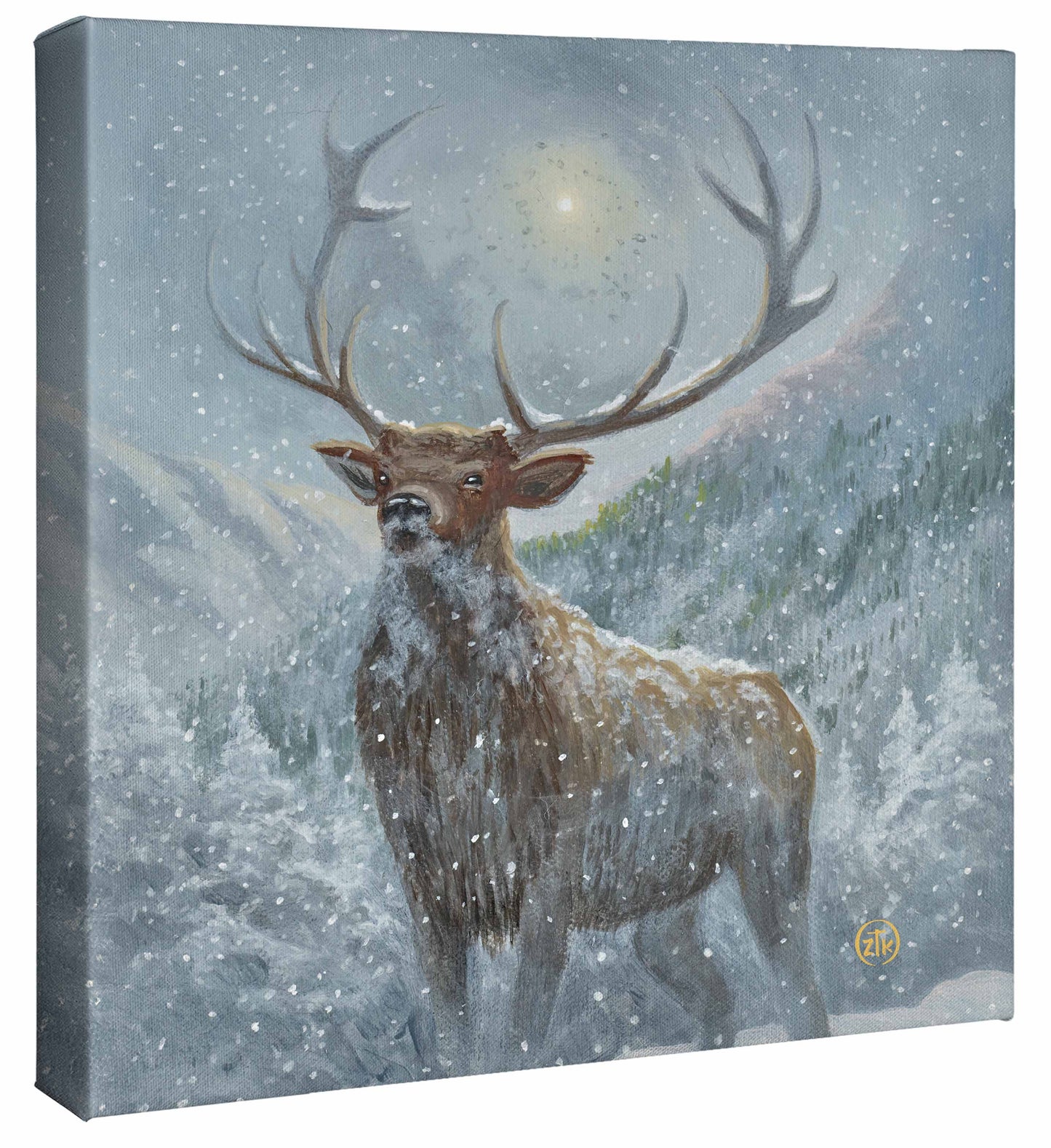 Spirit of the North - 14" x 14" Gallery Wrapped Canvas