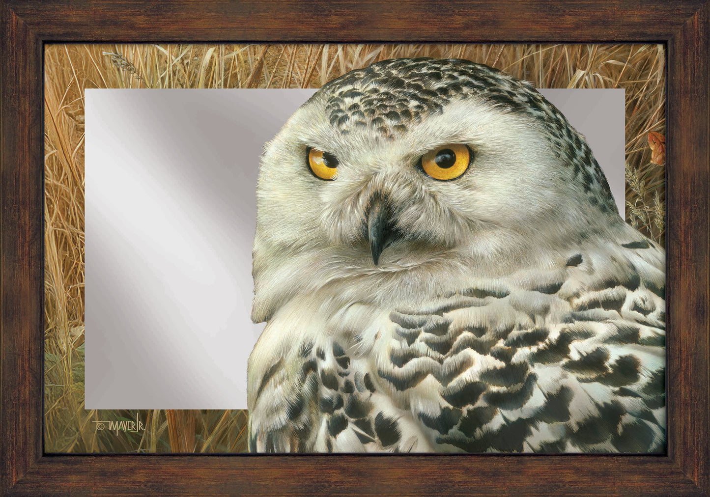Optical Surveillance - 16" x 24" Mirror Framed Barnwood