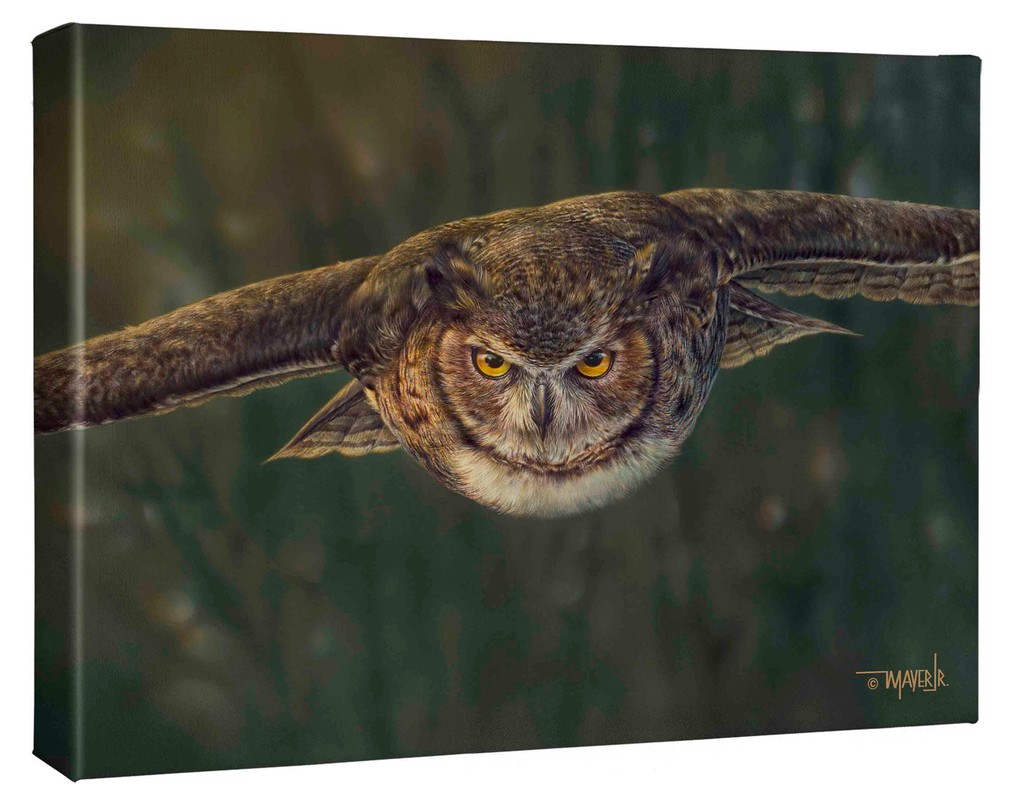 Aerial Intensity - 13" x 18" Gallery Wrapped Canvas