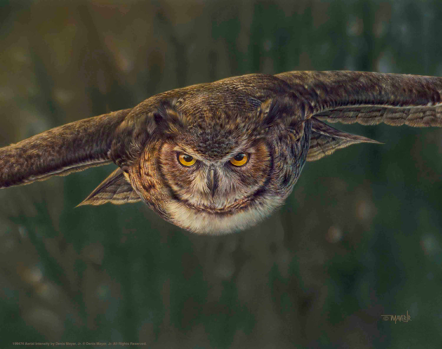 Aerial Intensity - Art Prints