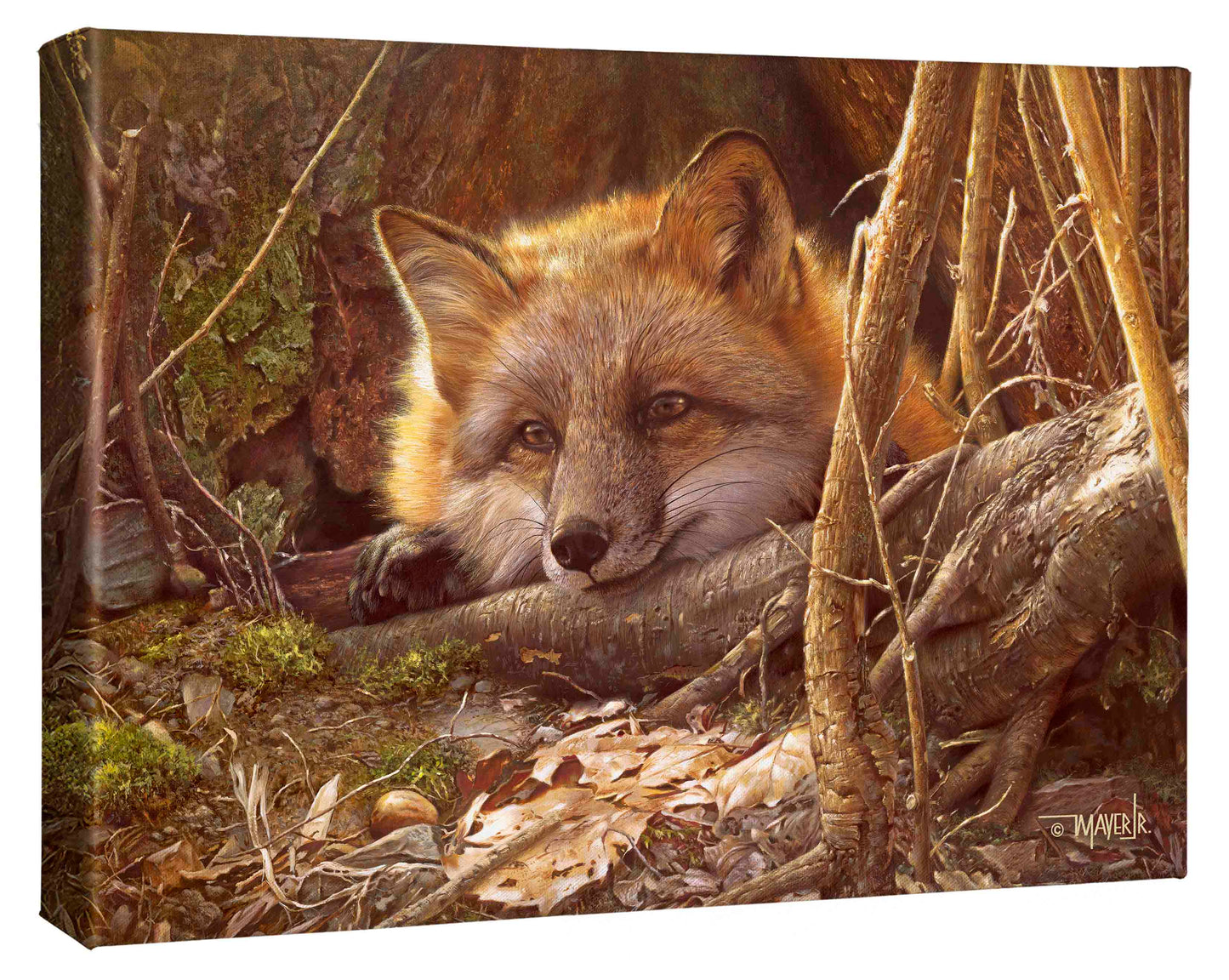 A Touch of Warmth - 13" x 18" Gallery Wrapped Canvas