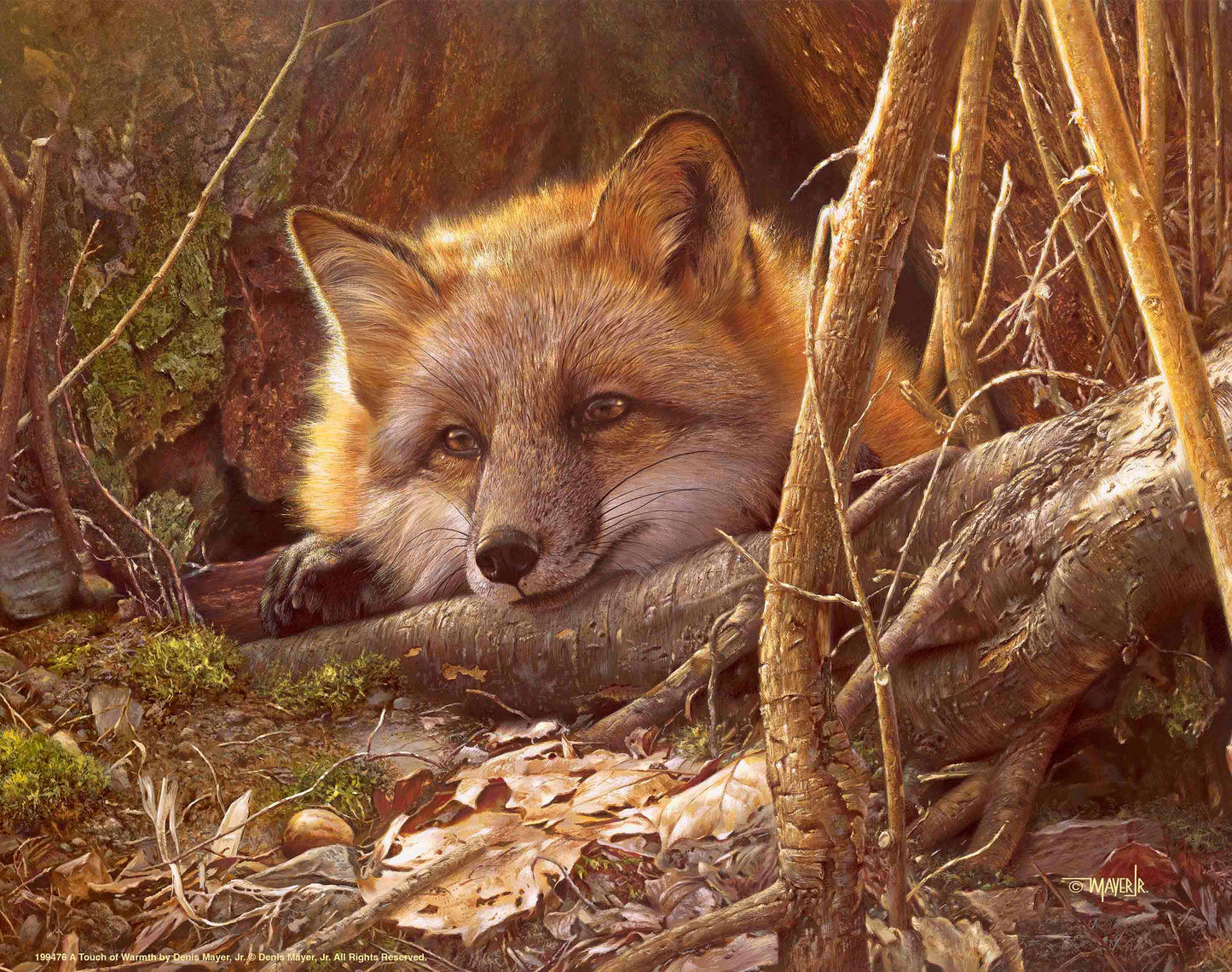 A Touch of Warmth - Art Prints