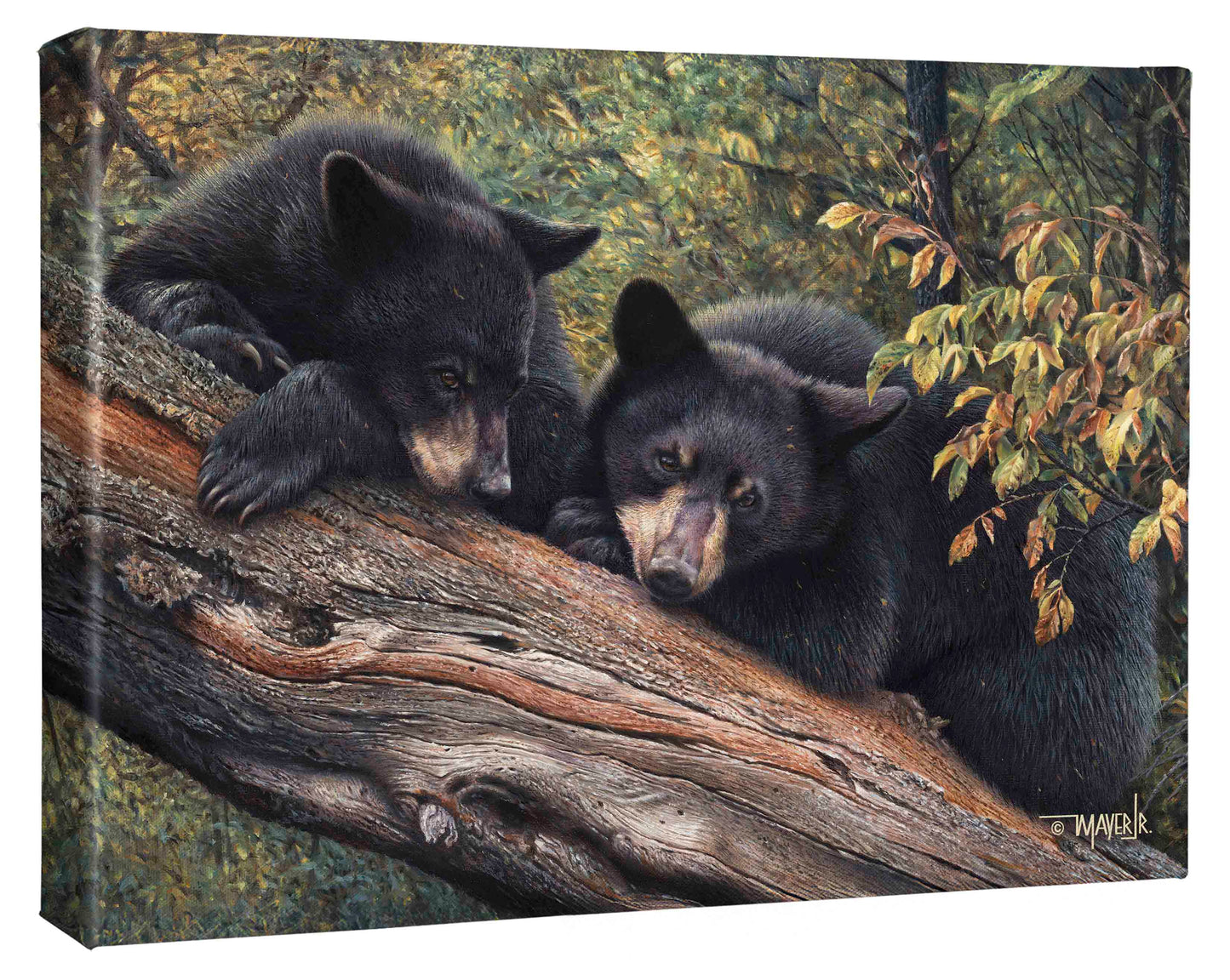 Mom’s Awaiting - 13" x 18" Gallery Wrapped Canvas