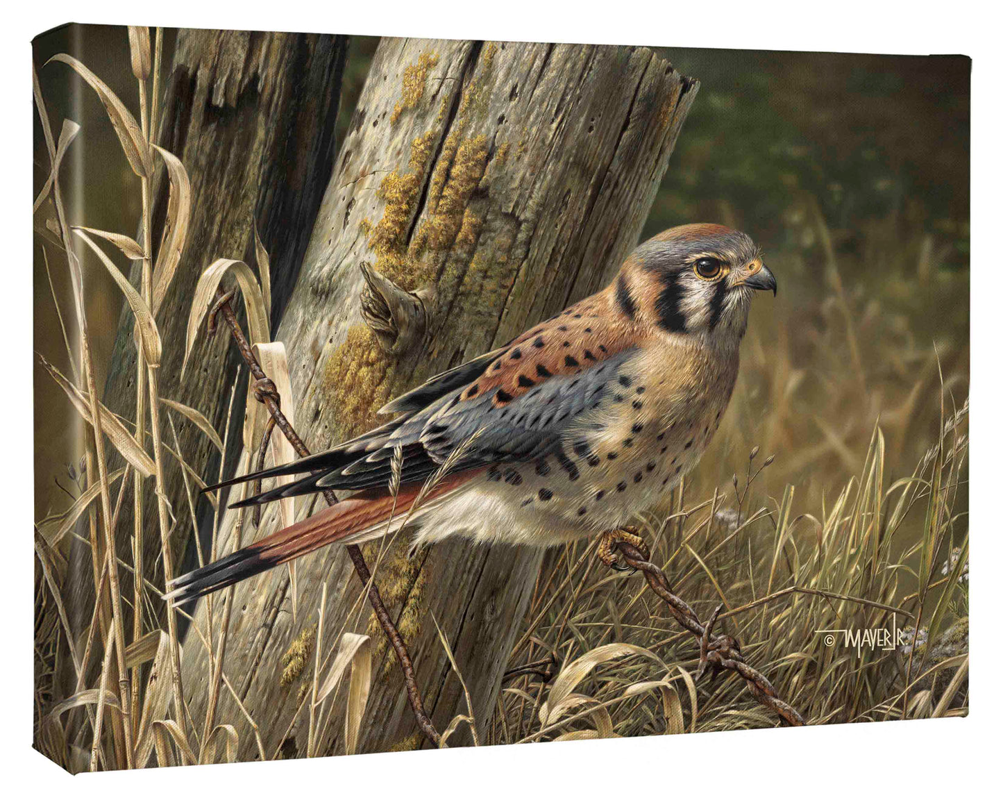 Patience is Rewarding - 13" x 18" Gallery Wrapped Canvas