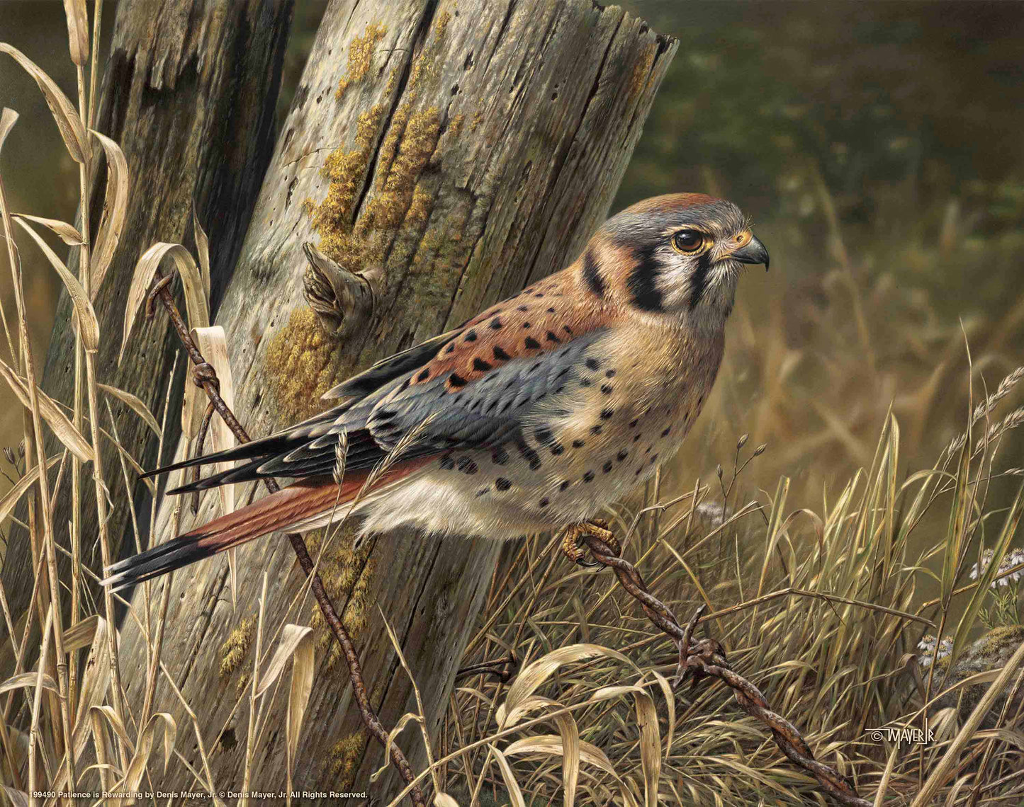 Patience is Rewarding - Art Prints