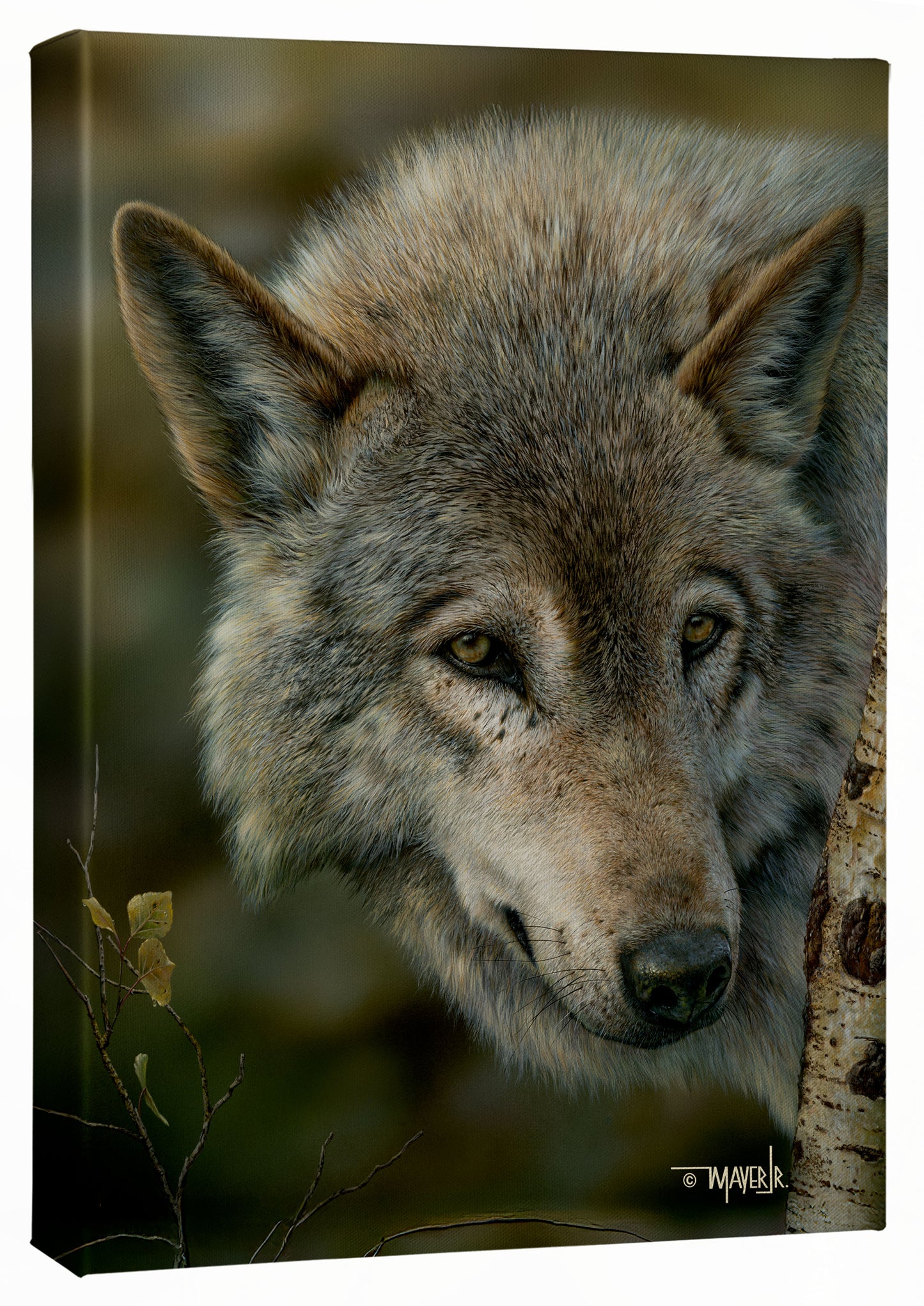 Silver and Gold - 13" x 18" Gallery Wrapped Canvas