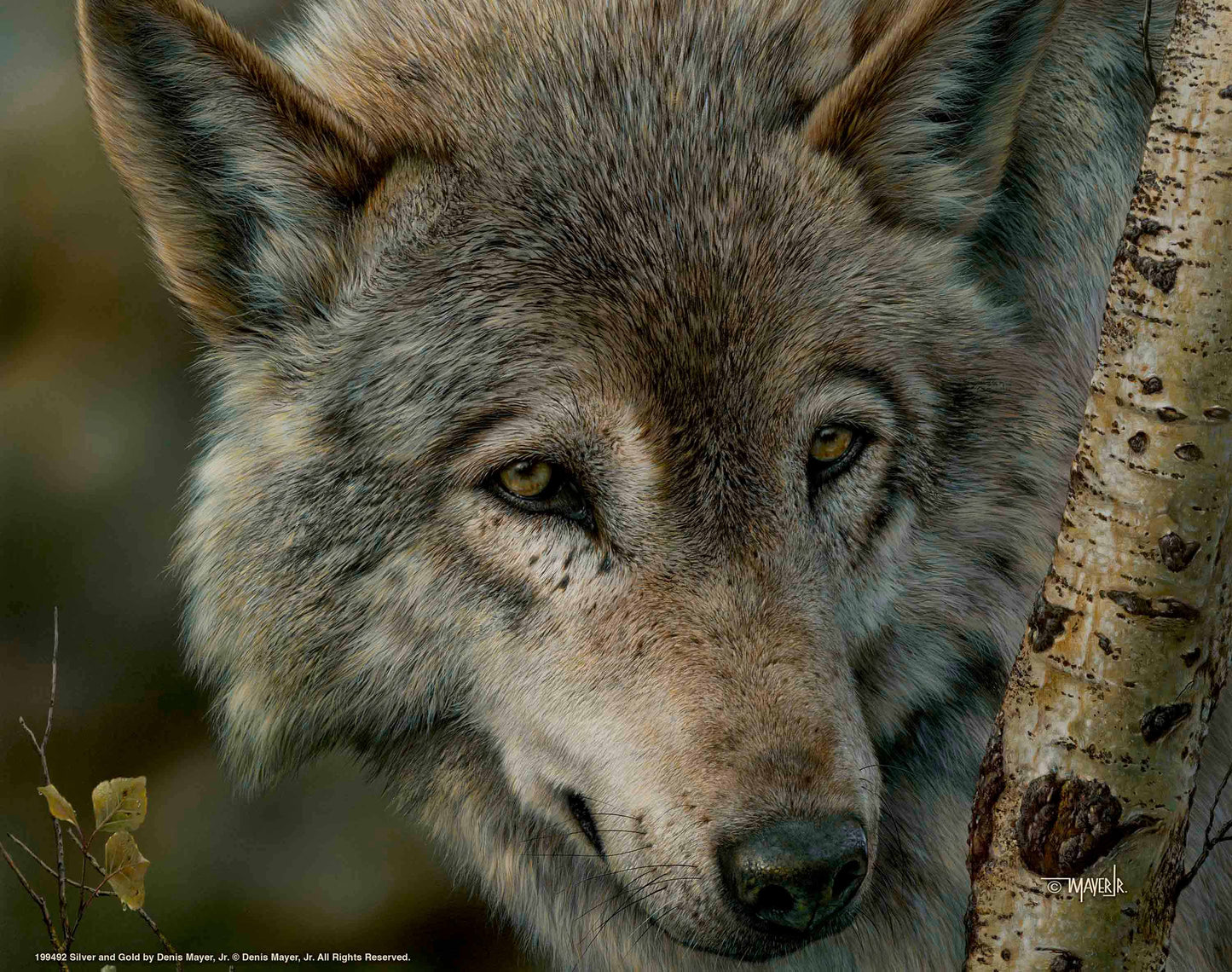 Silver and Gold - Art Prints