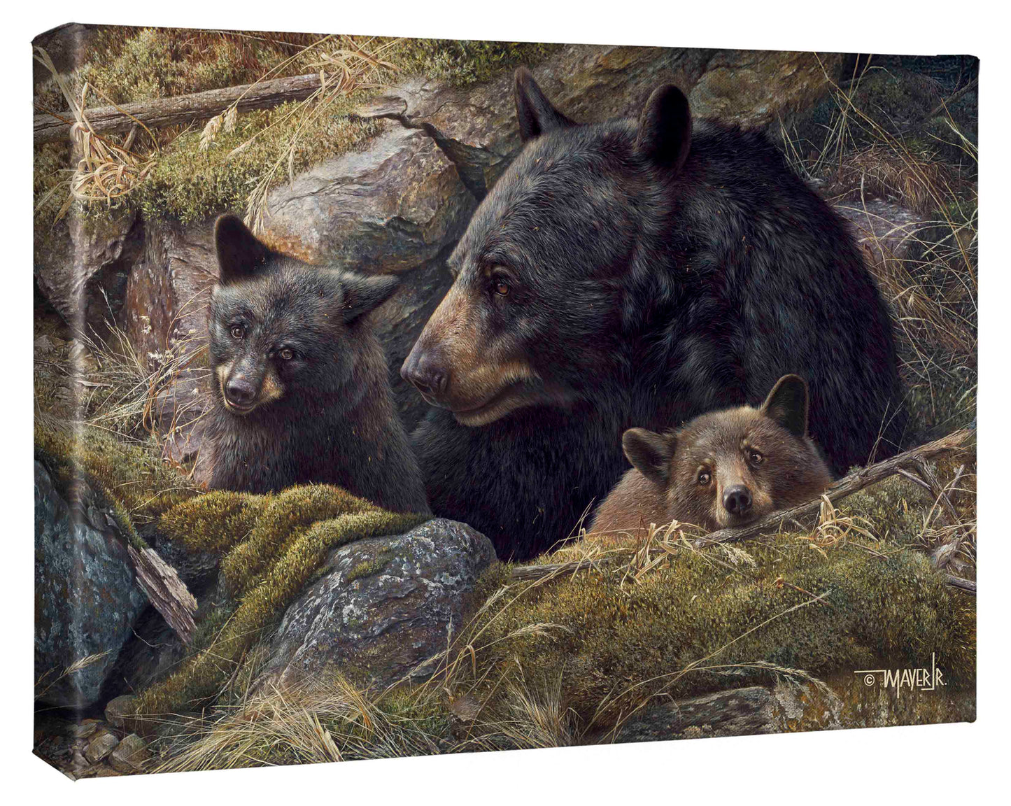 Twice the Love - 13" x 18" Gallery Wrapped Canvas