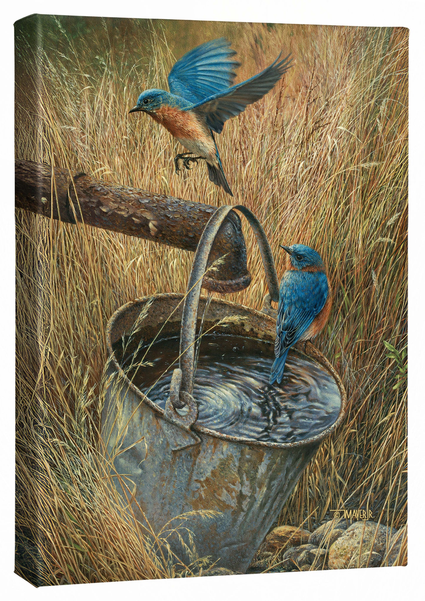 Farmland Dwellers - 13" x 18" Gallery Wrapped Canvas