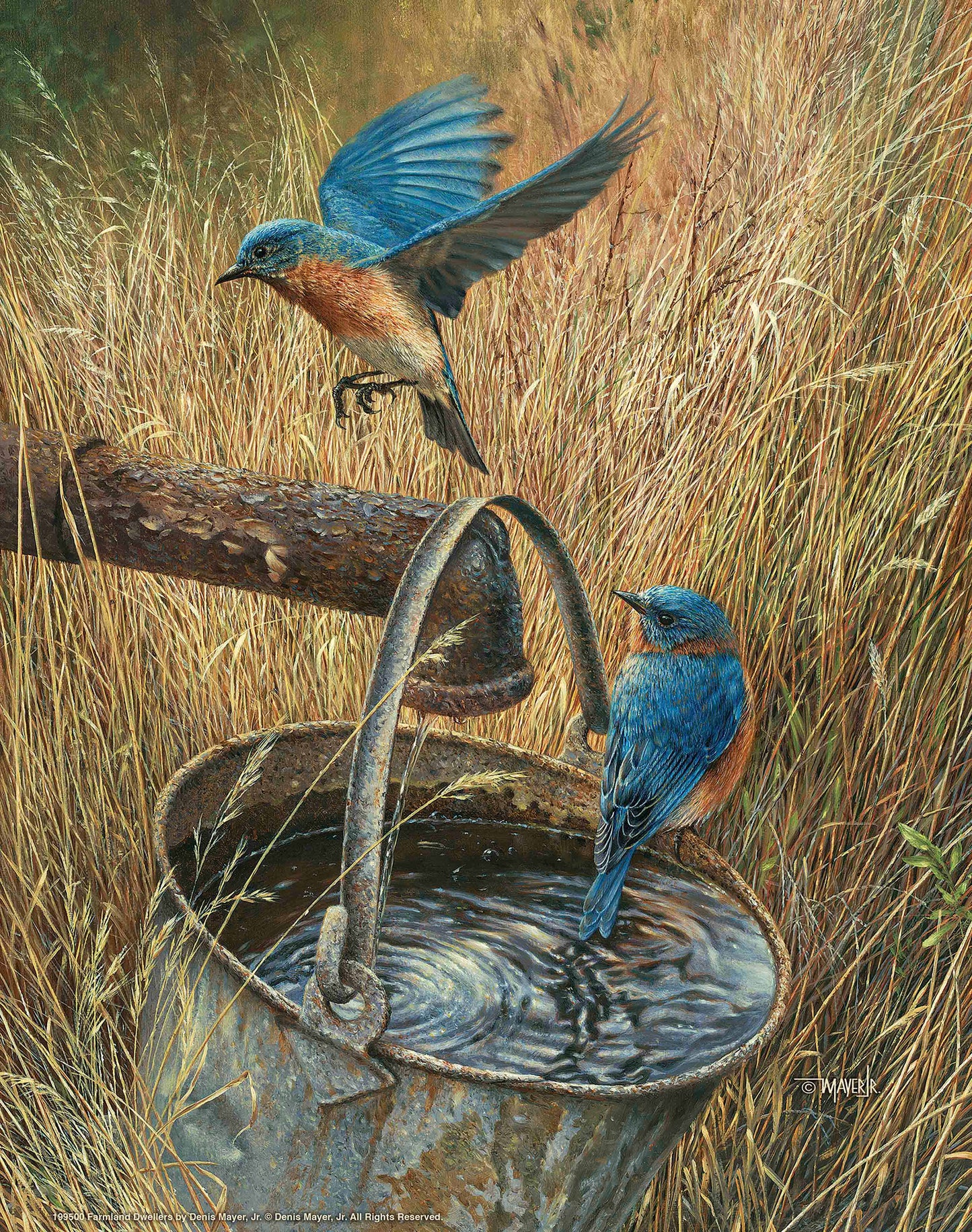 Farmland Dwellers - Art Prints