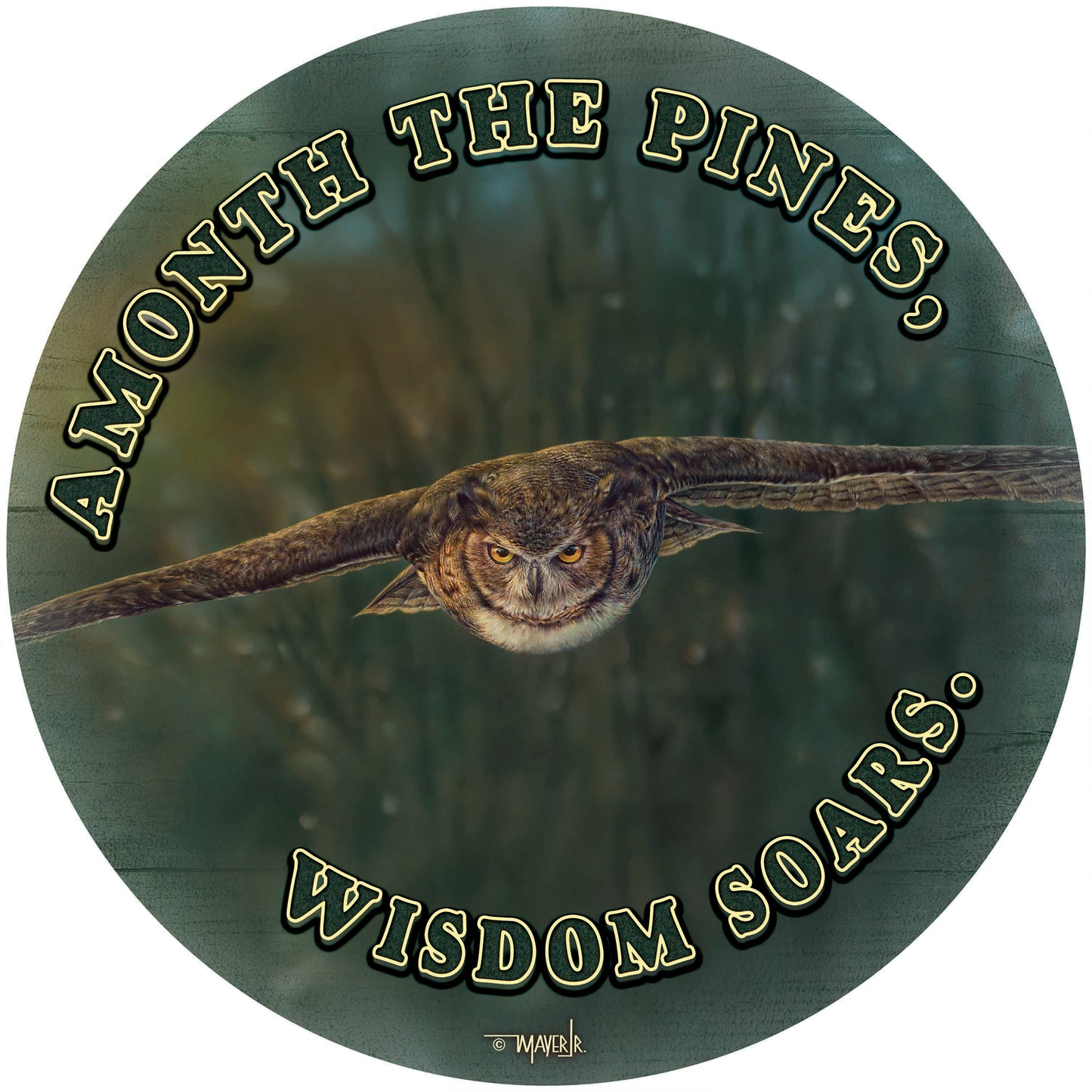 Aerial Intensity - 21" Round Wood Sign