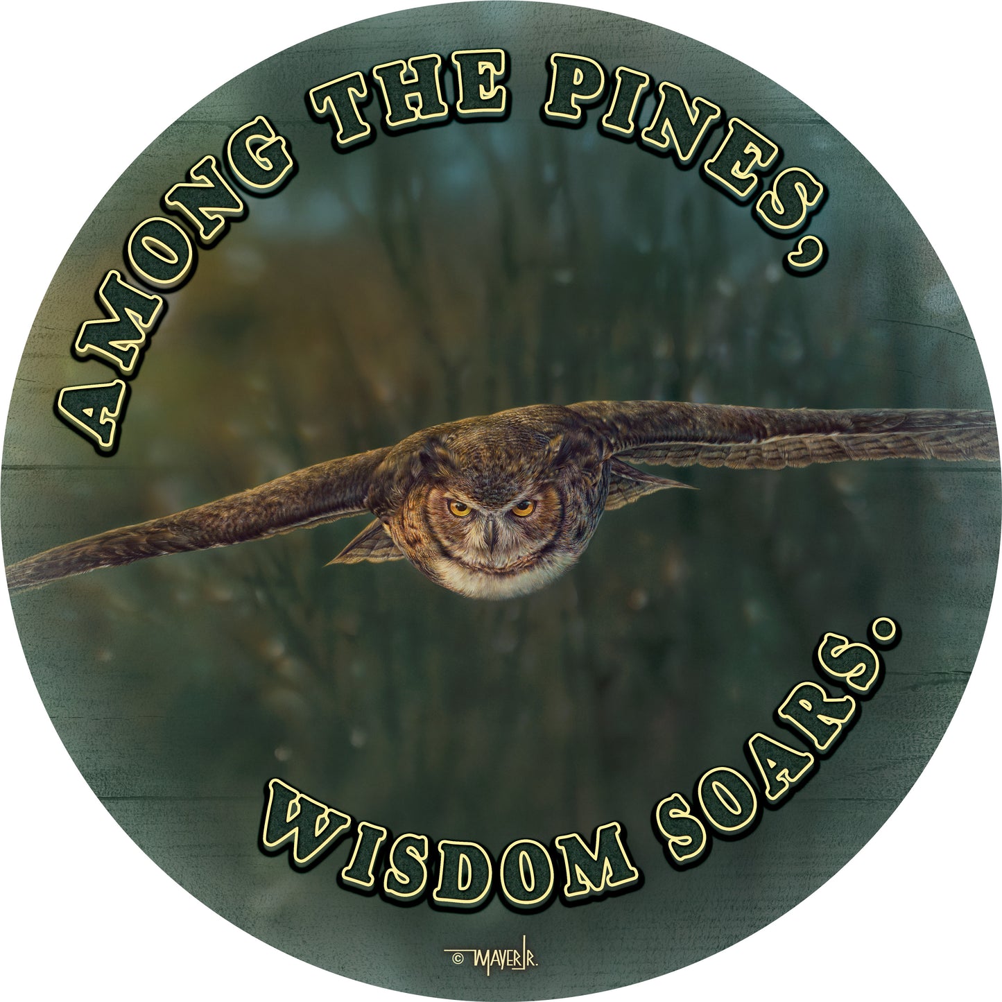 Aerial Intensity - 21" Round Wood Sign