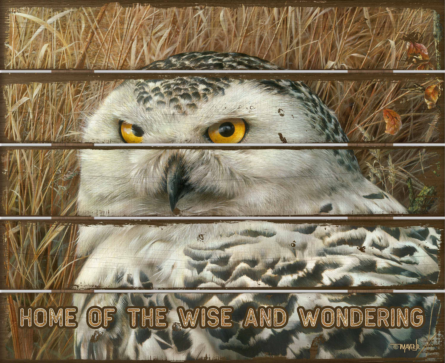 Optical Surveillance - 18" x 22" Pallet Wall Art