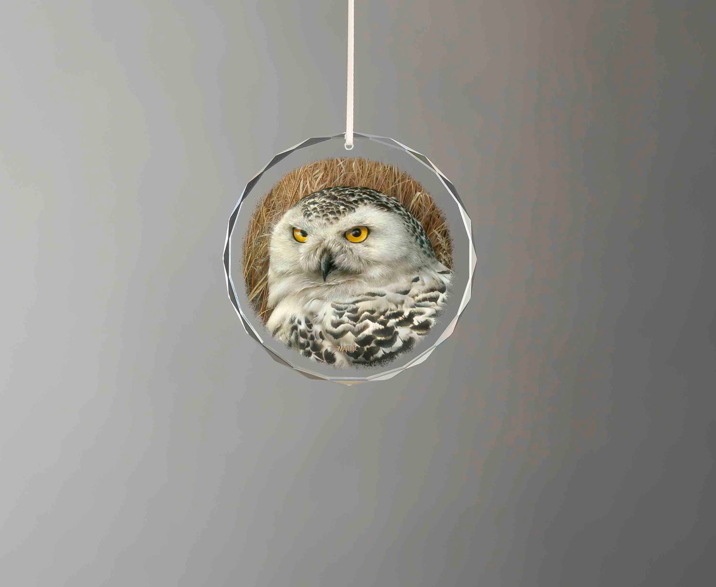 Optical Surveillance - Round Glass Ornament