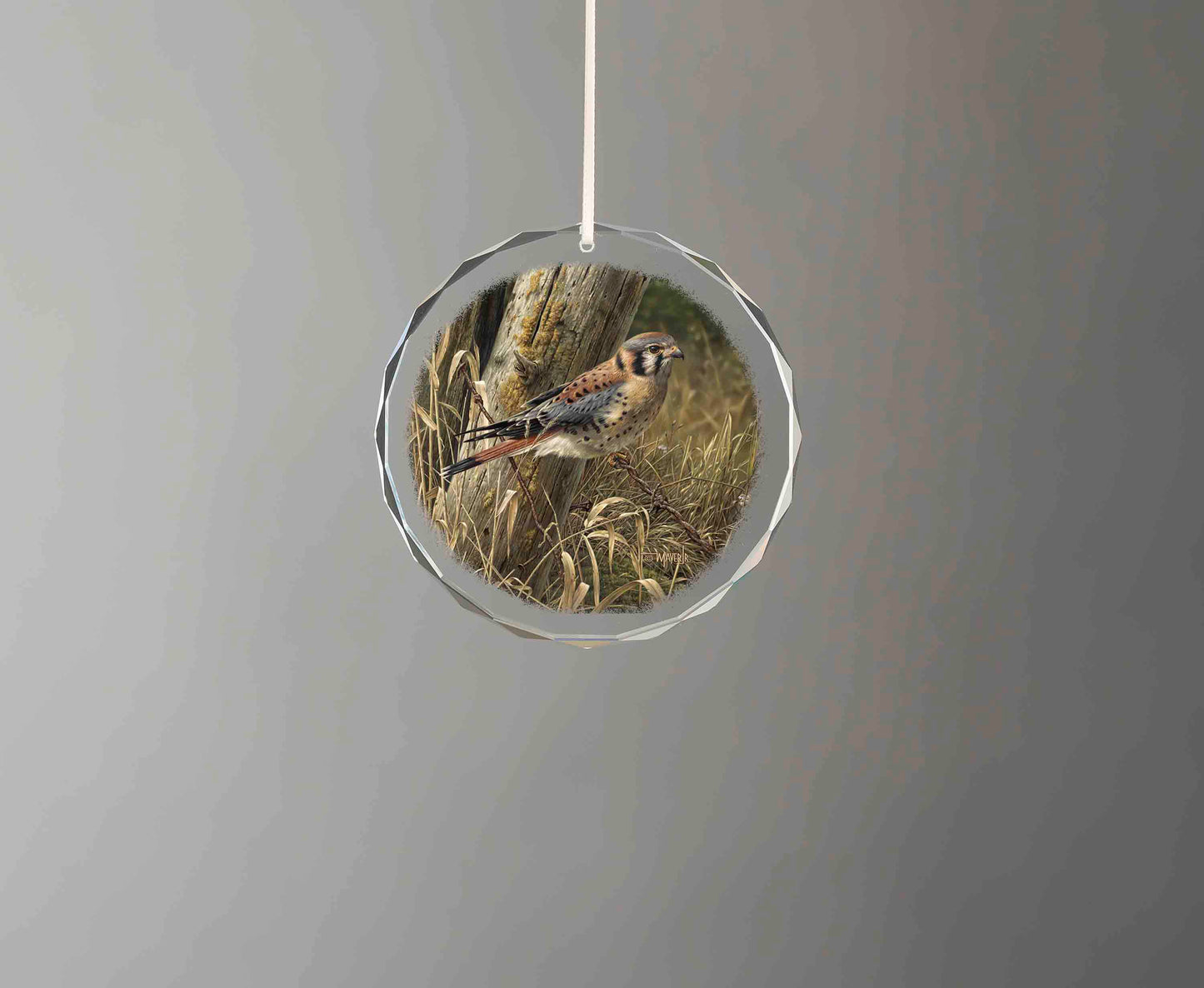 Patience is Rewarding - Round Glass Ornament