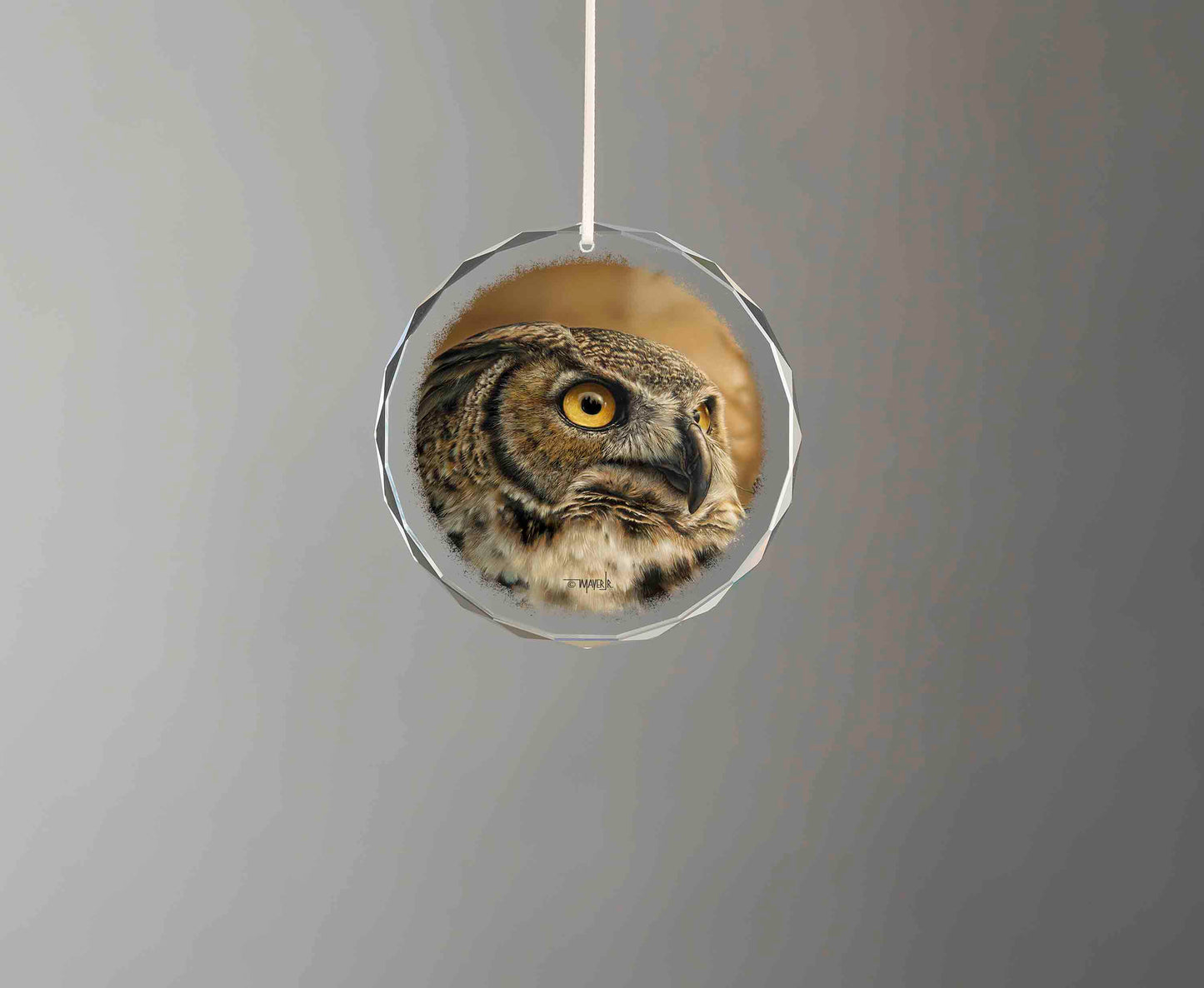 The Great Visionary - Round Glass Ornament