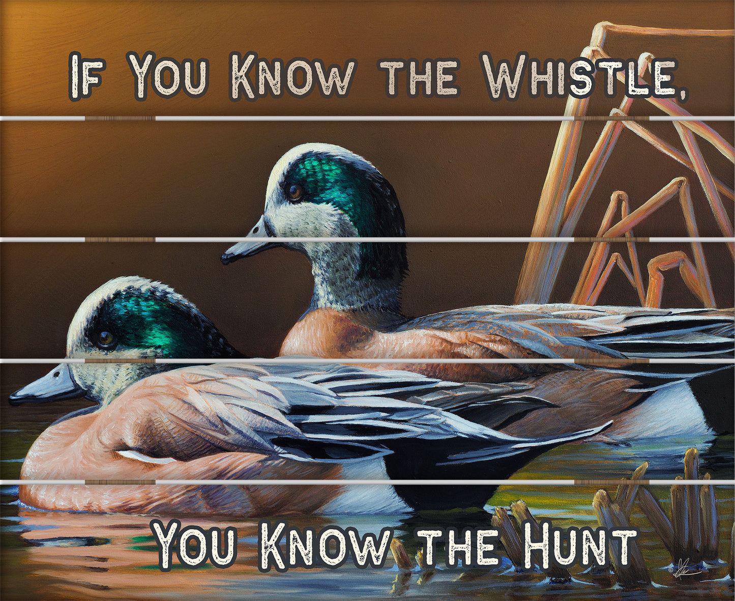 American Wigeon - 18" x 22" Pallet Wall Art