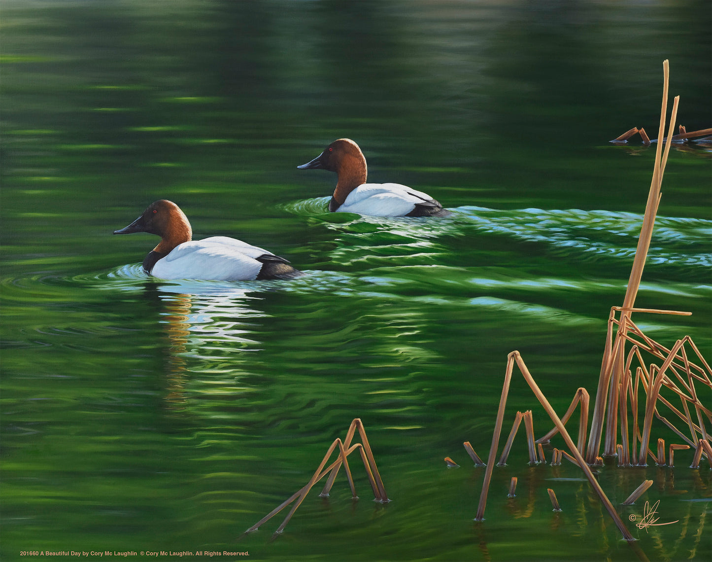 A Beautiful Day - Art Prints