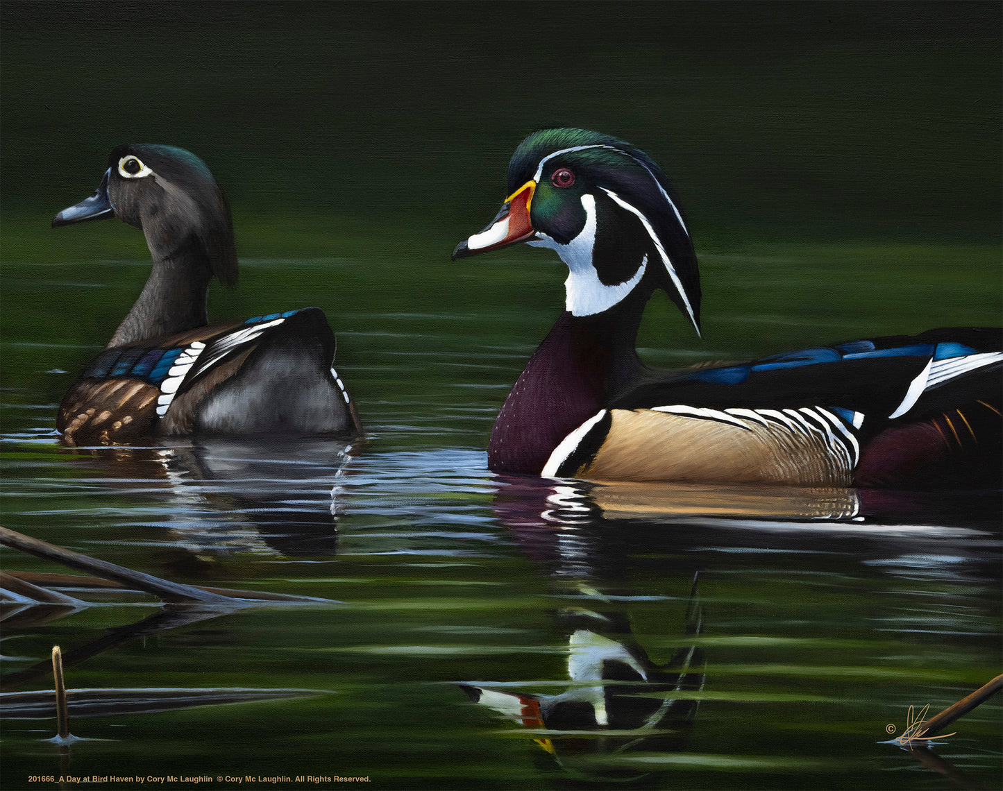 A Day at Bird Haven - Art Prints