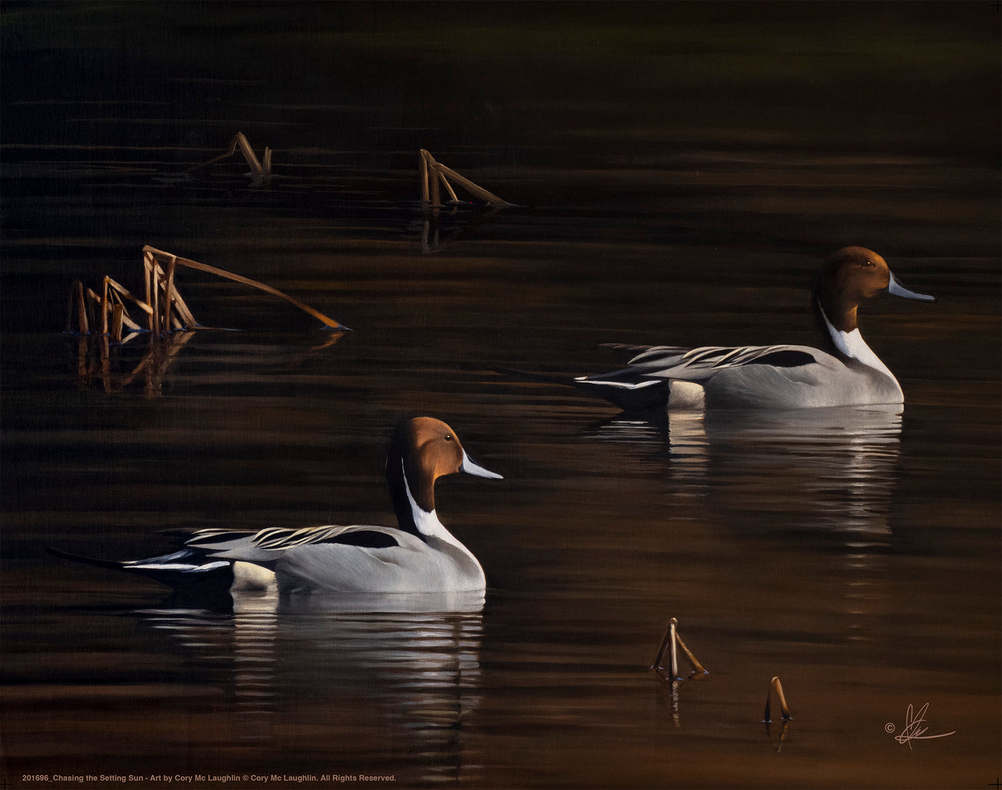 Chasing the Setting Sun - Art Prints