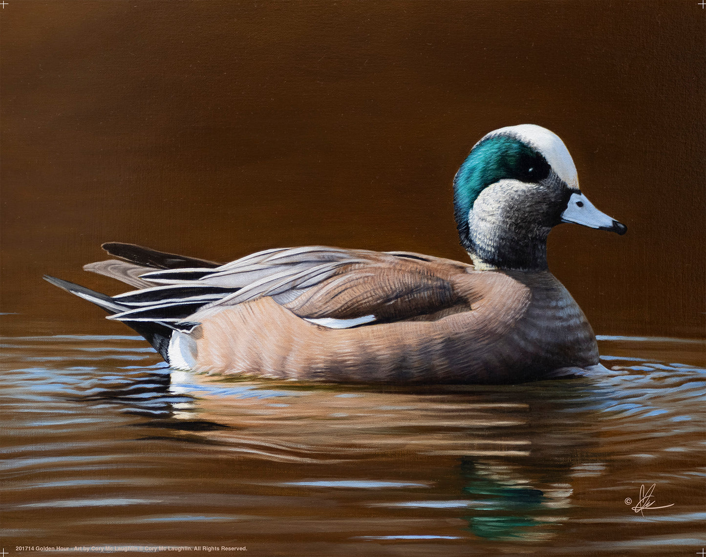 Golden Hour - Art Prints