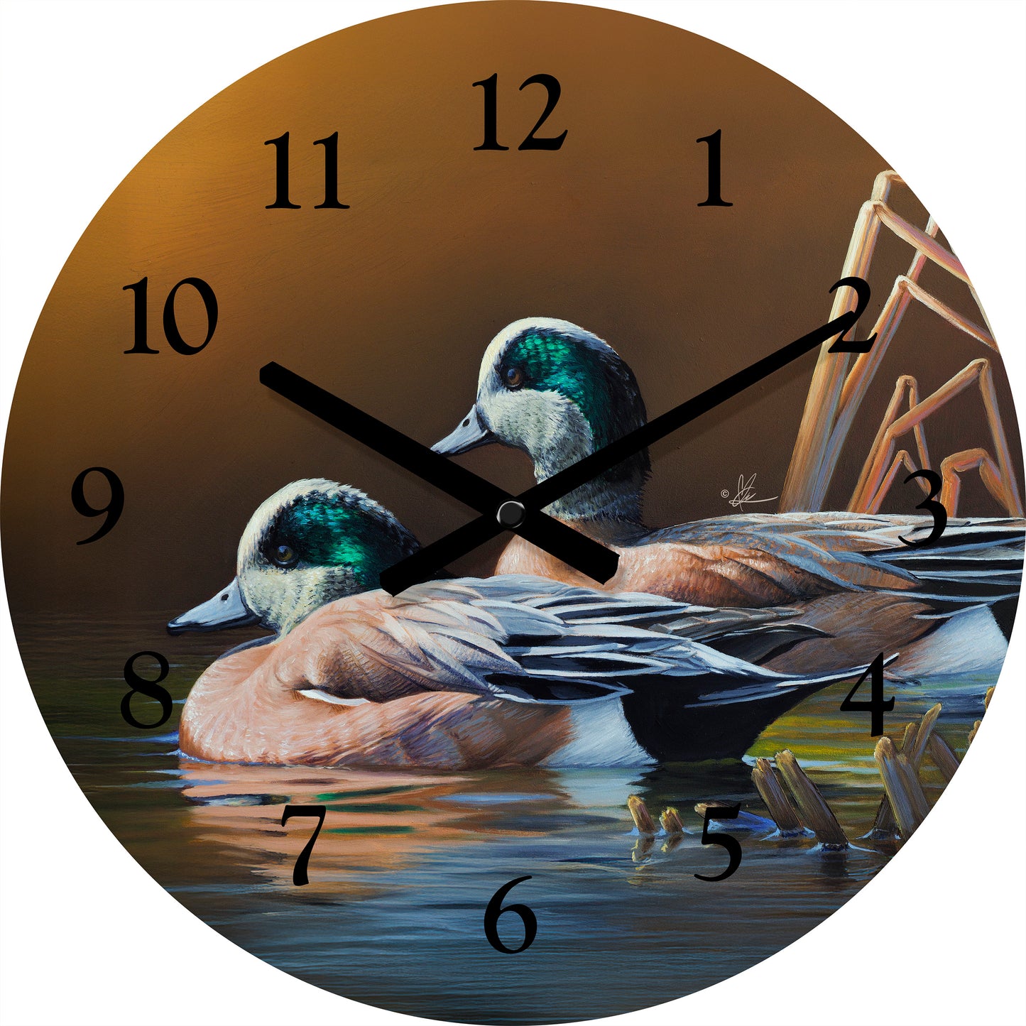American Wigeon - 21" Round Clock