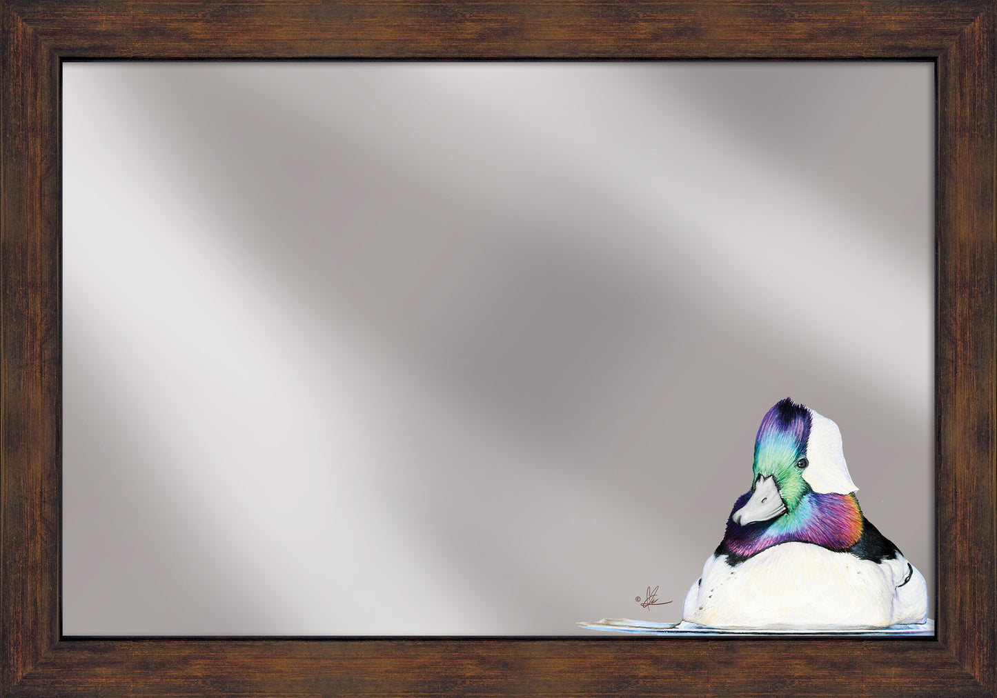 Bufflehead Study - 16" x 24" Mirror Framed Barnwood