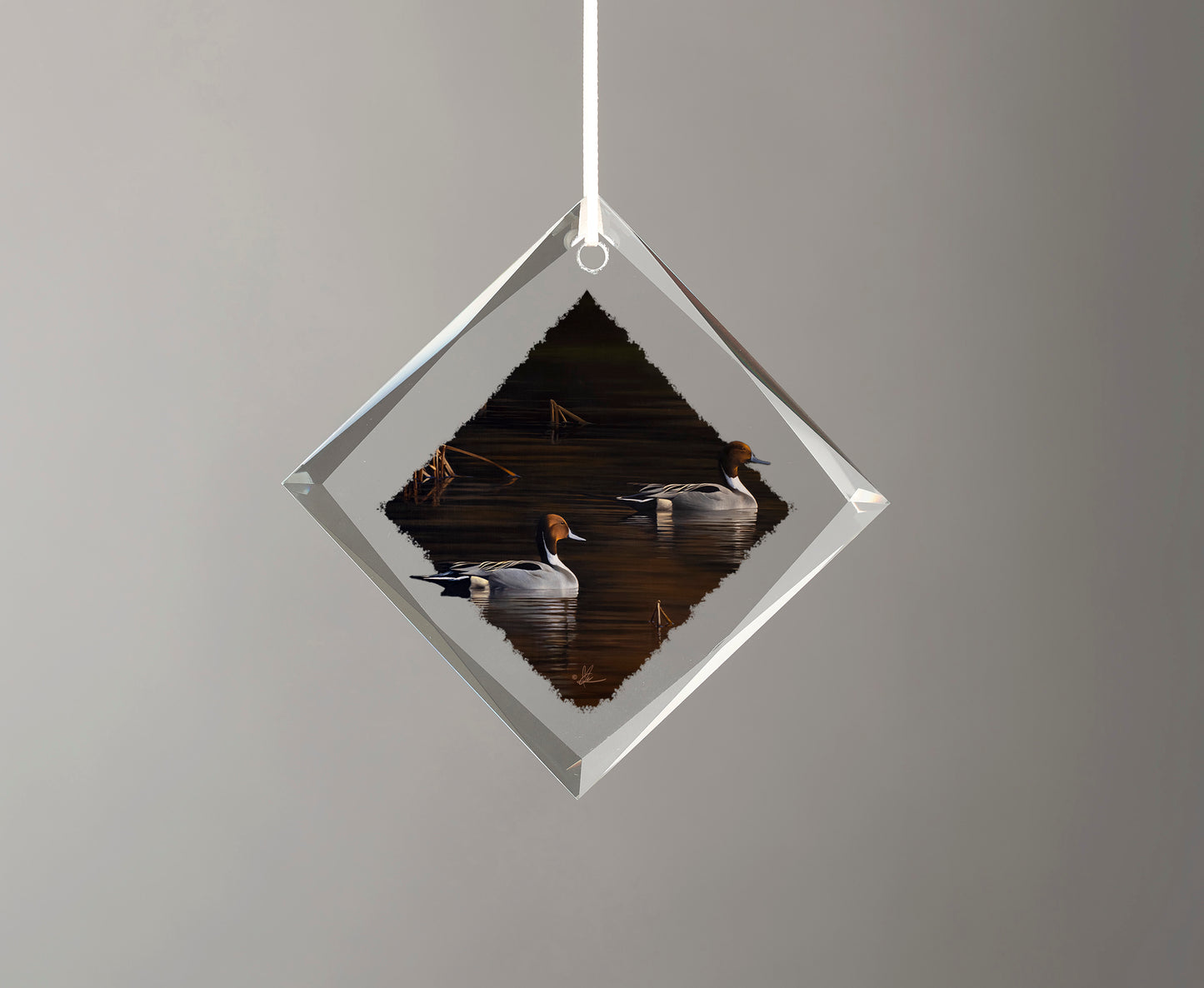 Chasing the Setting Sun - Diamond Glass Ornament